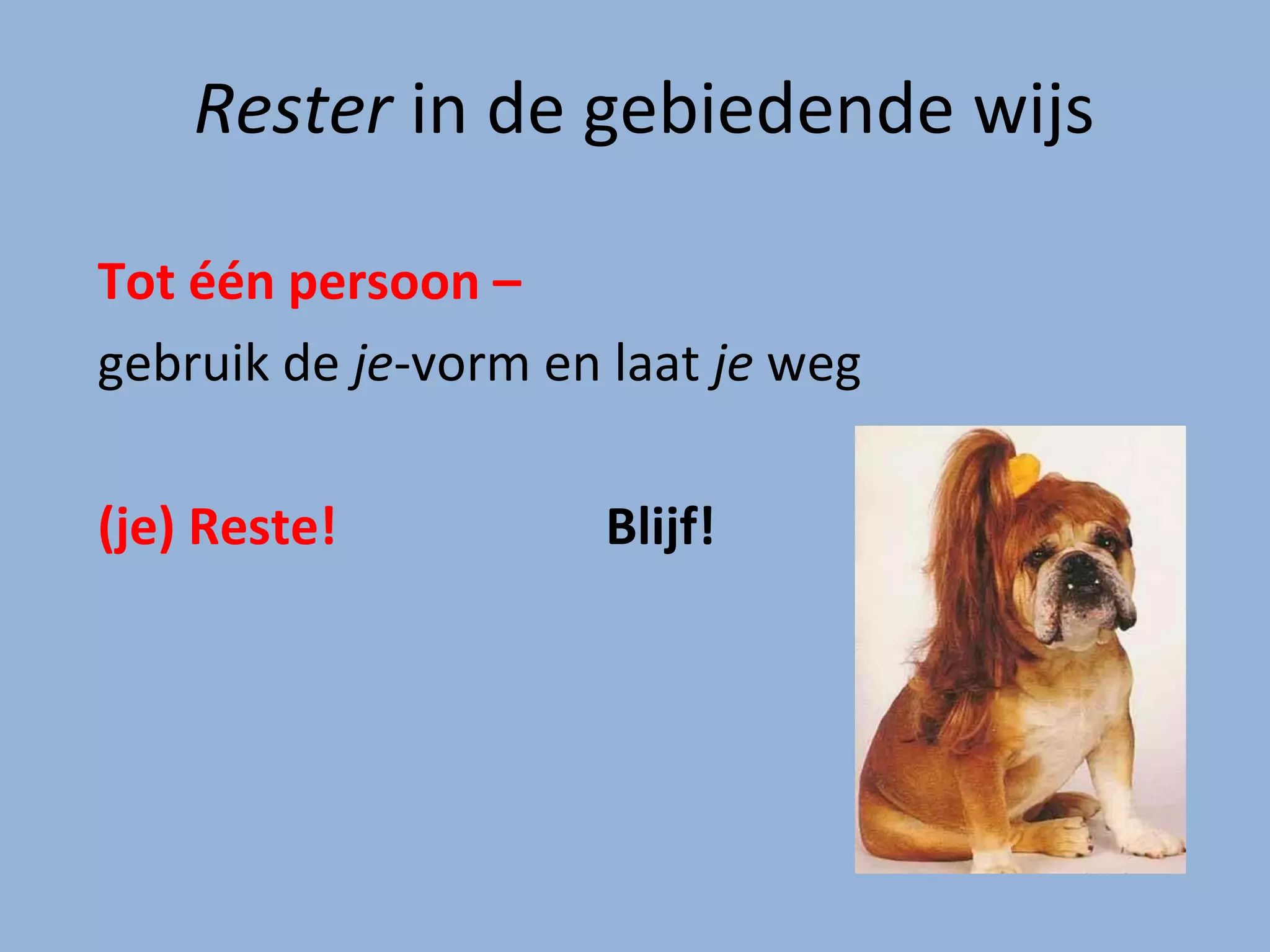 Gebiedende wijs | PPT