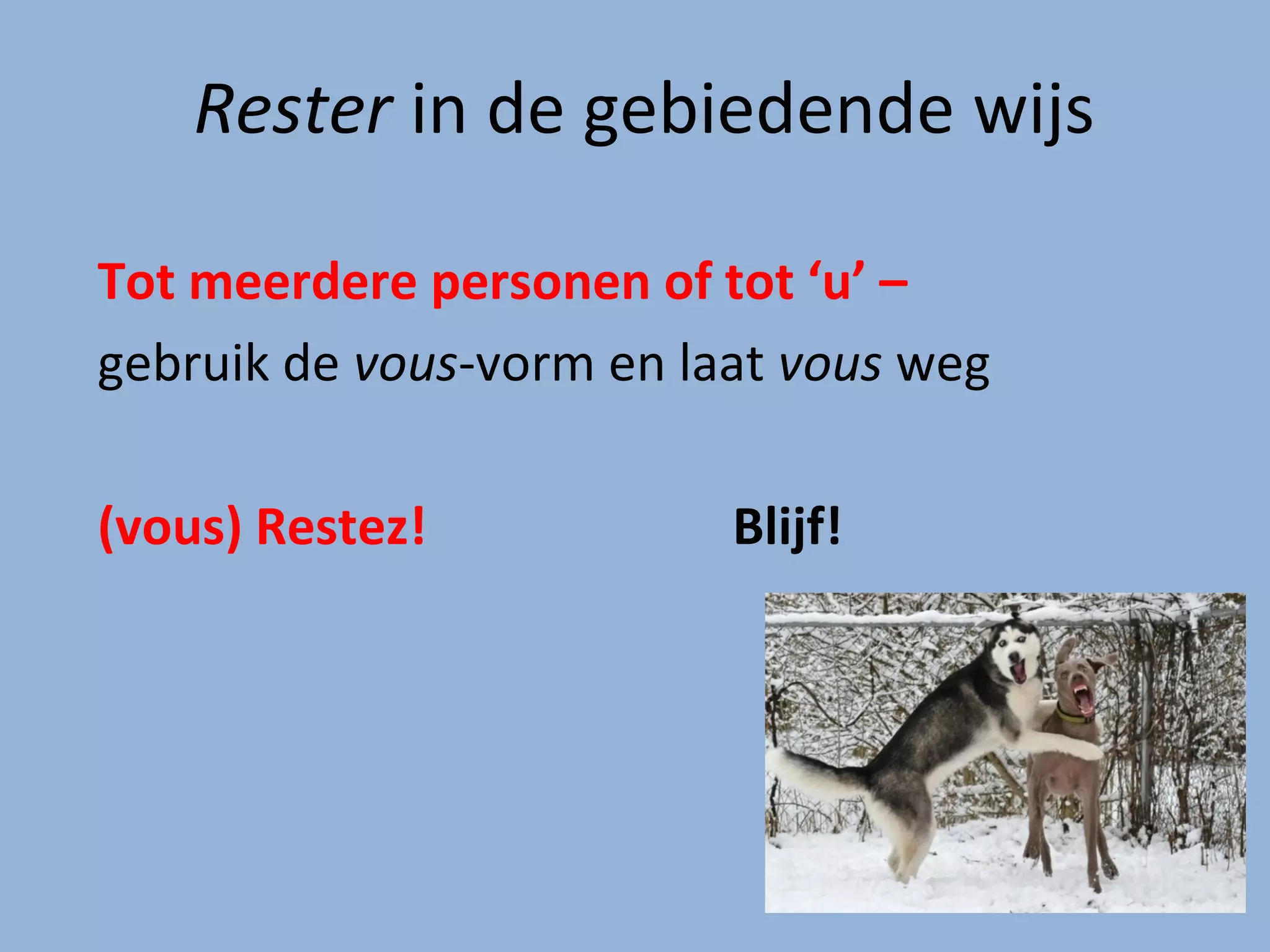 Gebiedende wijs | PPT