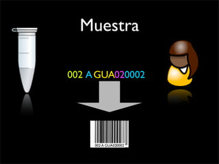 GeBiX Muestras Codebar