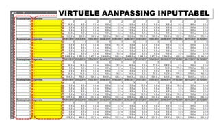 VIRTUELE AANPASSING INPUTTABEL
 