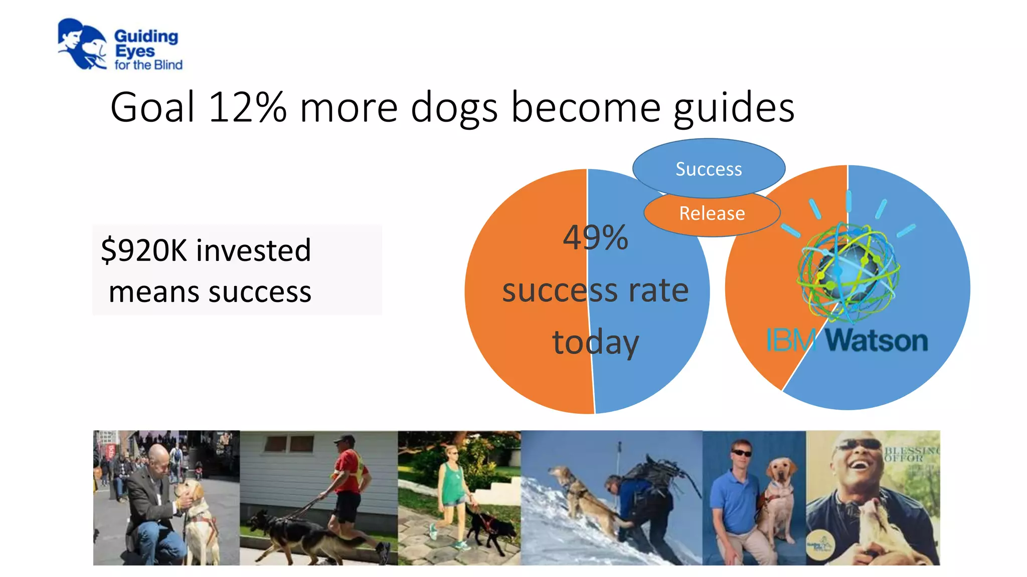 Goal 12% more dogs become guides
49%
success rate
today
$920K invested
means success
Release
Success
 