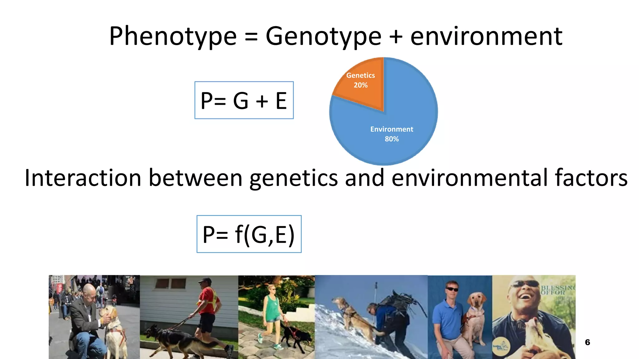 6
Phenotype = Genotype + environment
P= G + E
Interaction between genetics and environmental factors
P= f(G,E)
Environment
80%
Genetics
20%
 