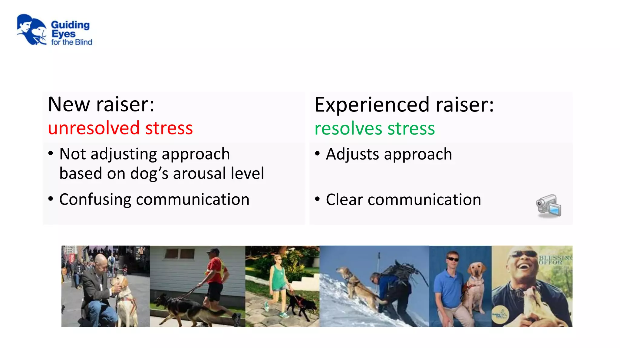 • Not adjusting approach
based on dog’s arousal level
• Confusing communication
Experienced raiser:
resolves stress
• Adjusts approach
• Clear communication
New raiser:
unresolved stress
 