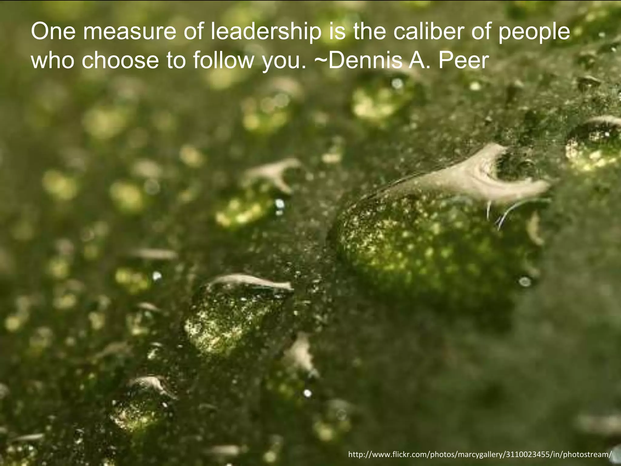 One measure of leadership is the caliber of people
who choose to follow you. ~Dennis A. Peer

http://www.flickr.com/photos/marcygallery/3110023455/in/photostream/

 