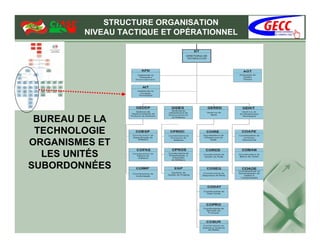 STRUCTURE ORGANISATION
        NIVEAU TACTIQUE ET OPÉRATIONNEL




 BUREAU DE LA
 TECHNOLOGIE
ORGANISMES ET
  LES UNITÉS
SUBORDONNÉES
 
