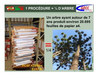 1 PROCÉDURE = ¼ D’ARBRE

                 Un arbre ayant autour de 7
                 ans produit environ 20.695
                 feuilles de papier a4.




                 1/4


PCSF 43/095 =
     5.247 fl.
 