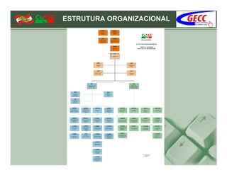 ESTRUTURA ORGANIZACIONAL
 