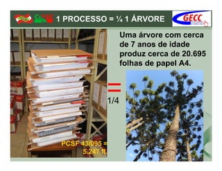 1 PROCESSO = ¼ 1 ÁRVORE

                    Uma árvore com cerca
                    de 7 anos de idade
                    produz cerca de 20.695
                    folhas de papel A4.



              1/4



 PCSF 43/095 =
      5.247 fl.
 