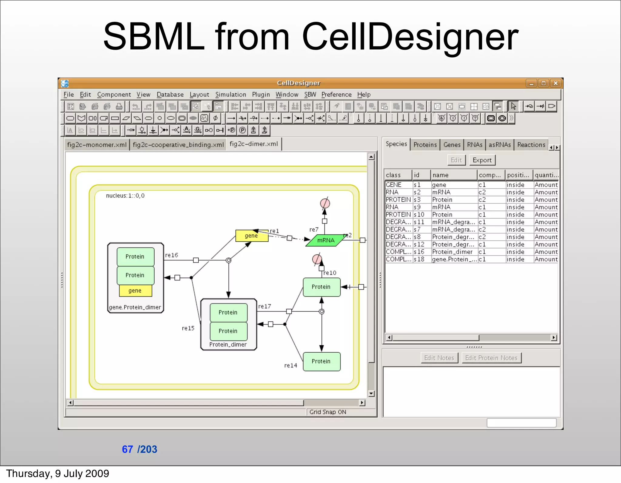 SBML from CellDesigner




                        67 /203

Thursday, 9 July 2009
 