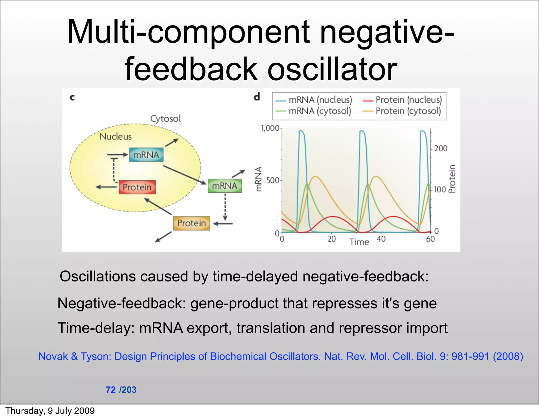 Multi-component negative-
                  feedback oscillator




            Oscillations caused by time-delayed negative-feedback:
            Negative-feedback: gene-product that represses it's gene
            Time-delay: mRNA export, translation and repressor import
       Novak & Tyson: Design Principles of Biochemical Oscillators. Nat. Rev. Mol. Cell. Biol. 9: 981-991 (2008)


                        72 /203

Thursday, 9 July 2009
 