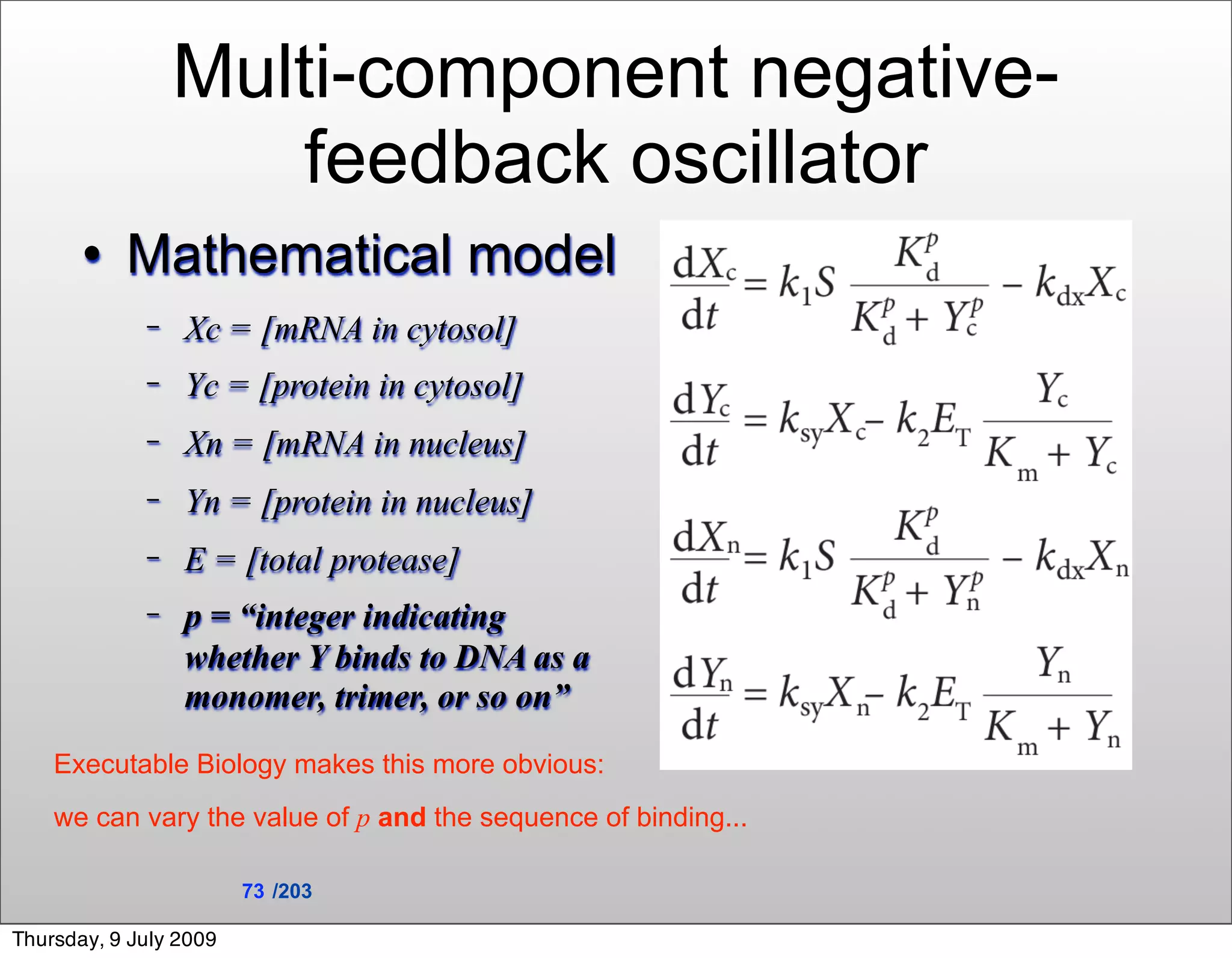 Multi-component negative-
                     feedback oscillator
          Mathematical model
             −   Xc = [mRNA in cytosol]
             −   Yc = [protein in cytosol]
             −   Xn = [mRNA in nucleus]
             −   Yn = [protein in nucleus]
             −   E = [total protease]
             −   p = “integer indicating
                 whether Y binds to DNA as a
                 monomer, trimer, or so on”
    Executable Biology makes this more obvious:
    we can vary the value of p and the sequence of binding...

                        73 /203

Thursday, 9 July 2009
 