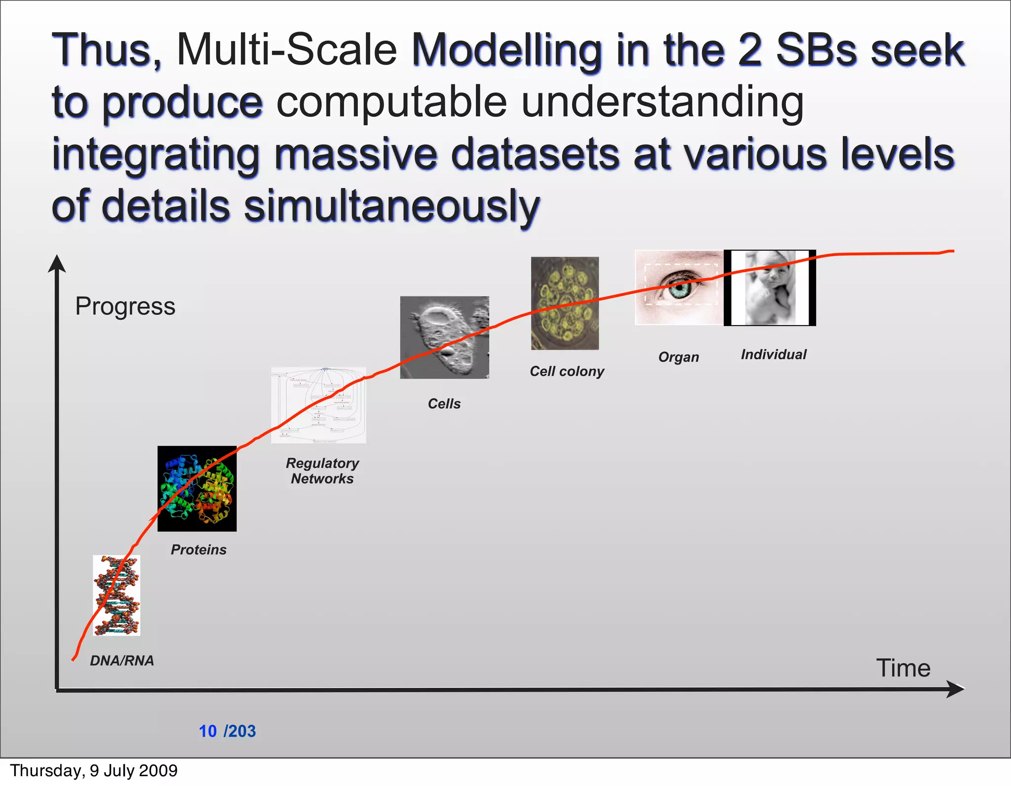 Thus, Multi-Scale Modelling in the 2 SBs seek
     to produce computable understanding
     integrating massive datasets at various levels
     of details simultaneously

        Progress
                                                                     Organ   Individual
                                                       Cell colony

                                               Cells



                                  Regulatory
                                  Networks




                    Proteins




         DNA/RNA
                                                                                          Time

                        10 /203

Thursday, 9 July 2009
 