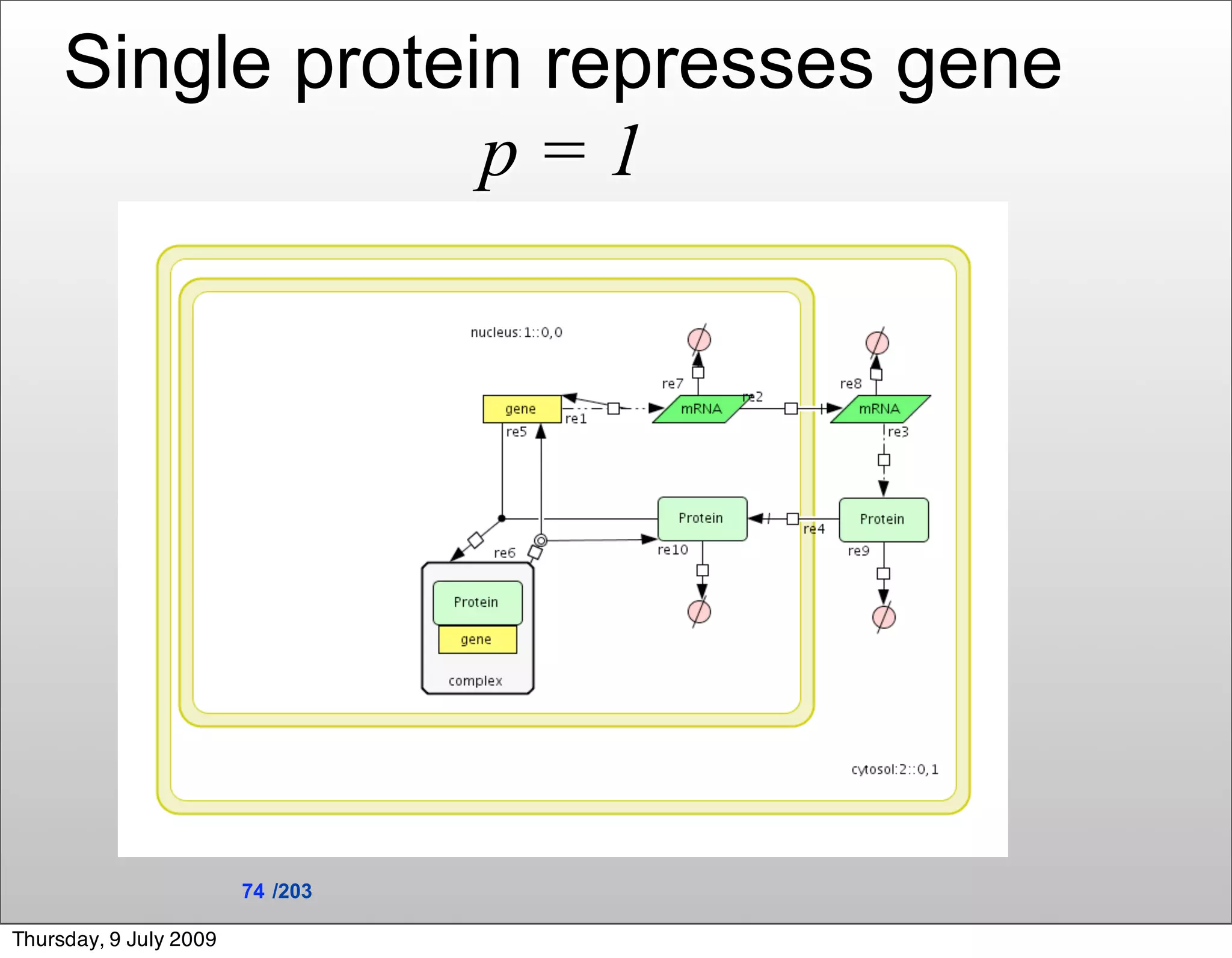 Single protein represses gene
                  p=1




                        74 /203

Thursday, 9 July 2009
 