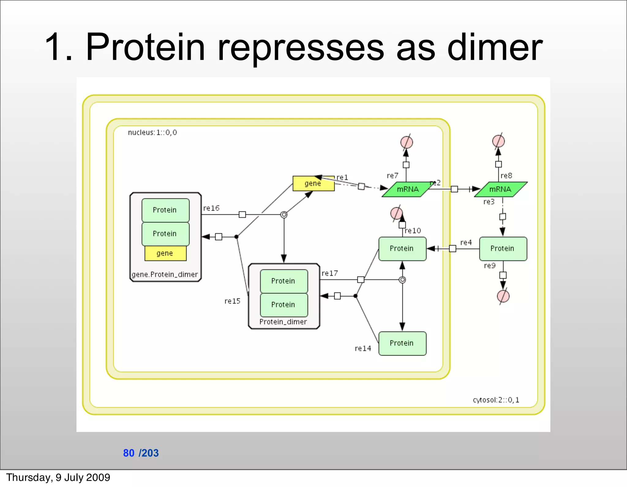 1. Protein represses as dimer




                        80 /203

Thursday, 9 July 2009
 