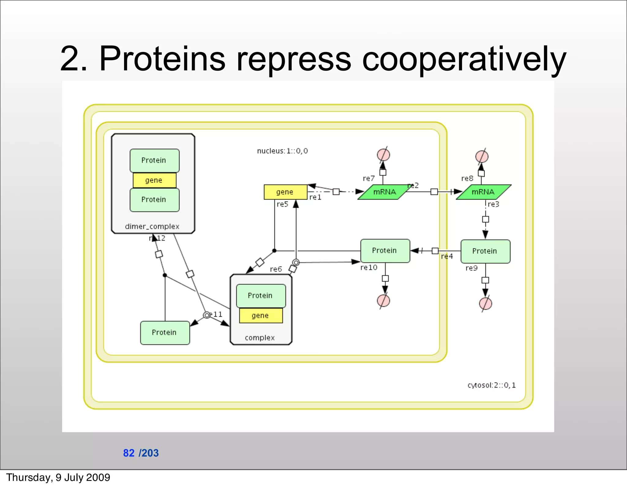 2. Proteins repress cooperatively




                        82 /203

Thursday, 9 July 2009
 
