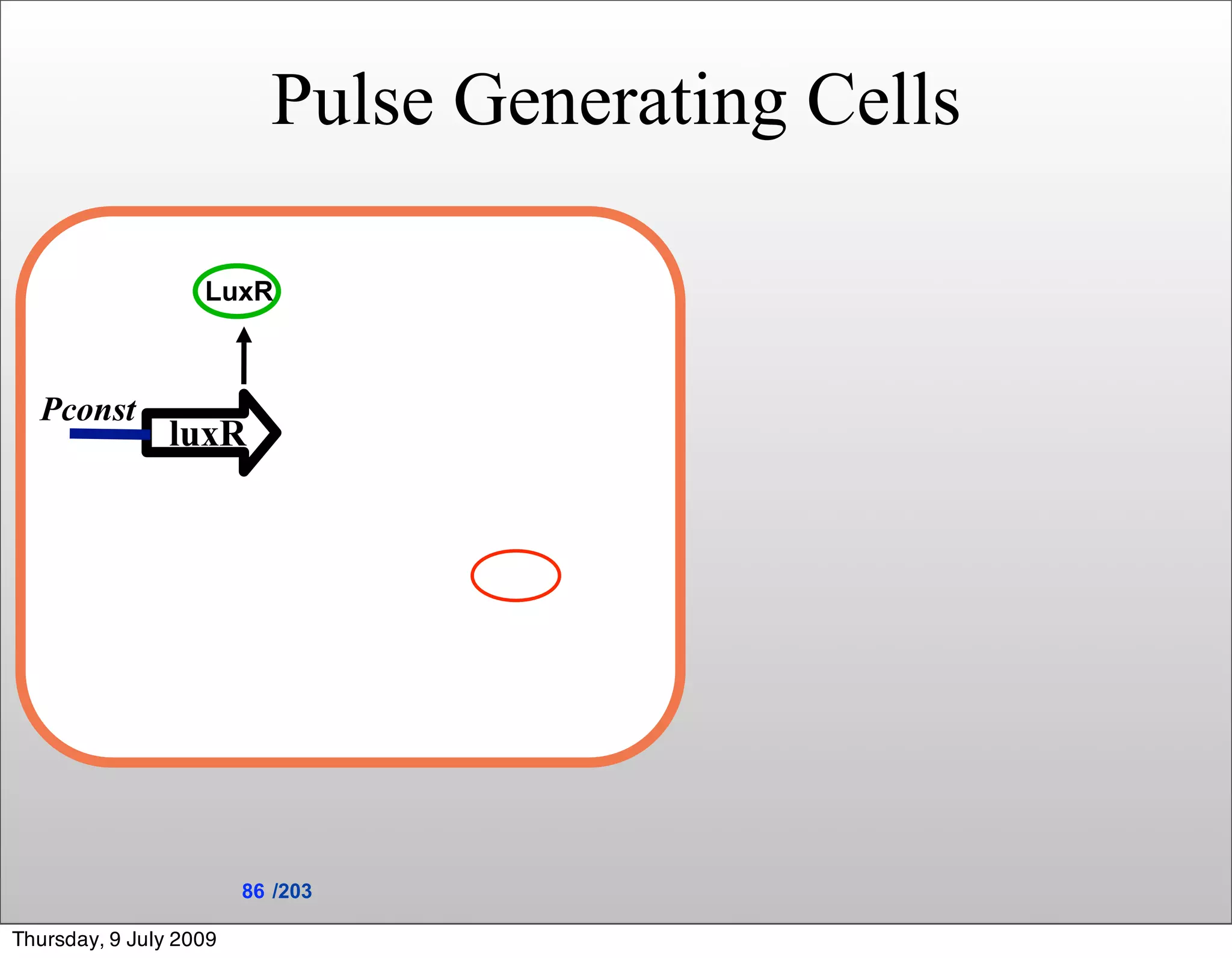 Pulse Generating Cells

                   LuxR



  Pconst
                luxR




                        86 /203

Thursday, 9 July 2009
 