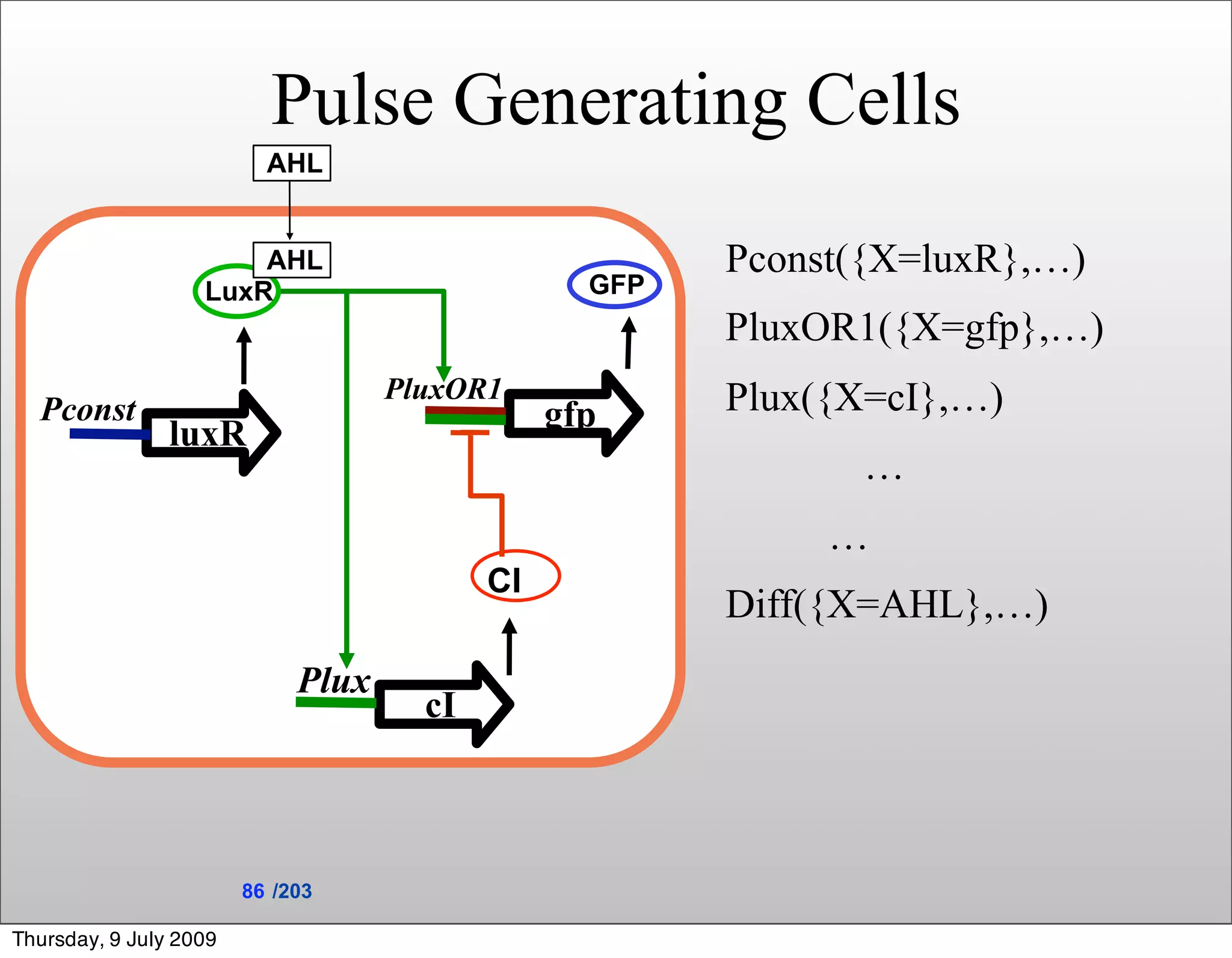 Pulse Generating Cells
                          AHL


                       AHL                              Pconst({X=luxR},…)
                   LuxR                           GFP
                                                        PluxOR1({X=gfp},…)
                                    PluxOR1             Plux({X=cI},…)
  Pconst                                        gfp
                luxR
                                                              …
                                                             …
                                           CI
                                                        Diff({X=AHL},…)
                             Plux
                                      cI



                        86 /203

Thursday, 9 July 2009
 