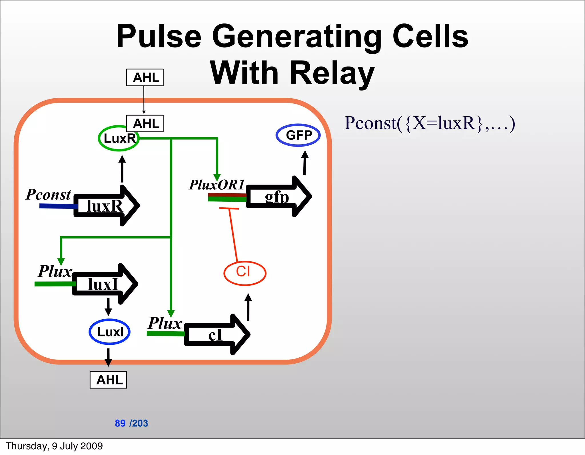 Pulse Generating Cells
                            AHLWith Relay
                            AHL                           Pconst({X=luxR},…)
                        LuxR                        GFP


                                      PluxOR1
    Pconst                                        gfp
                 luxR


      Plux                                   CI
                 luxI

                   LuxI
                               Plux
                                        cI

                   AHL


                         89 /203

Thursday, 9 July 2009
 