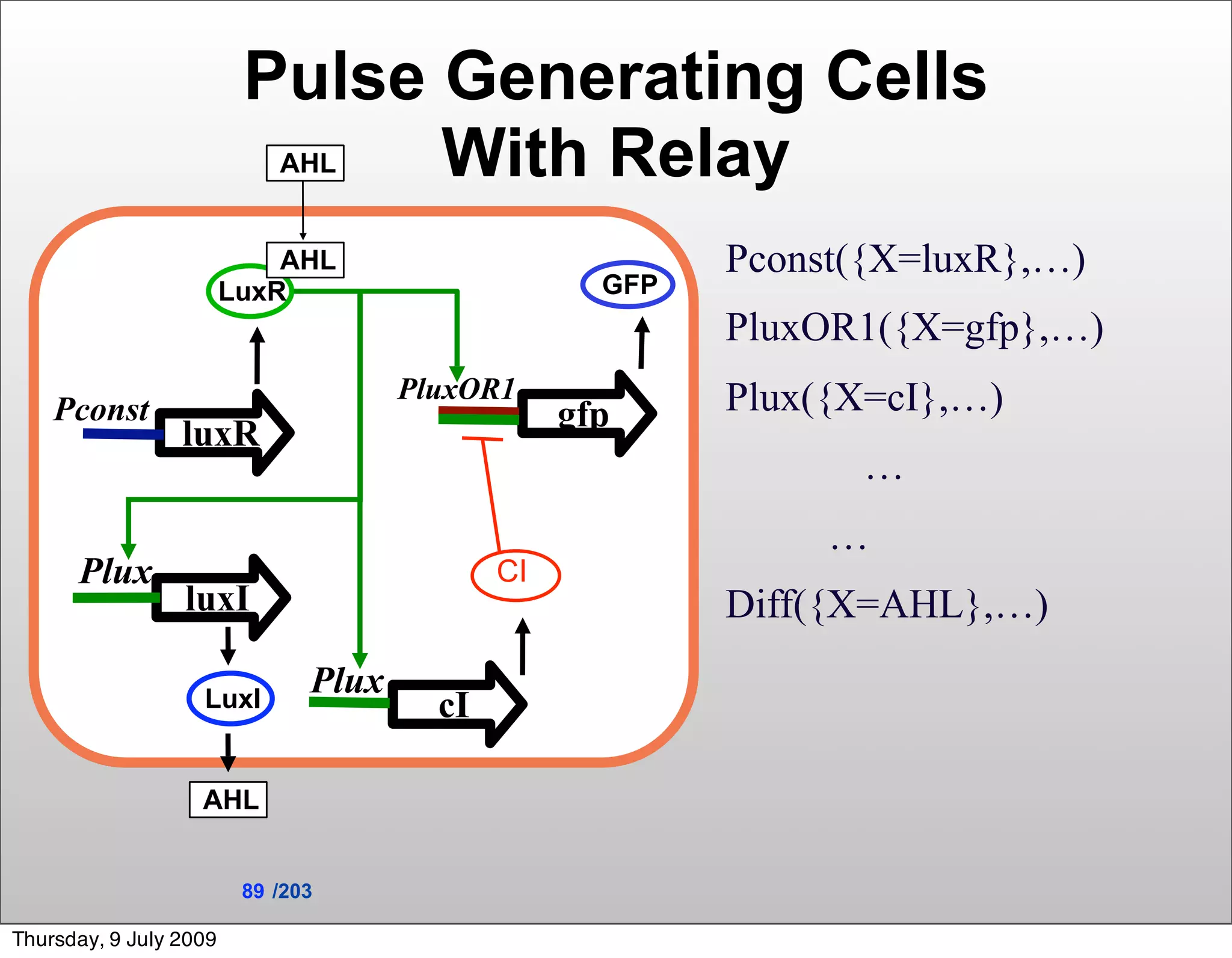 Pulse Generating Cells
                            AHLWith Relay
                            AHL                           Pconst({X=luxR},…)
                        LuxR                        GFP
                                                          PluxOR1({X=gfp},…)
                                      PluxOR1             Plux({X=cI},…)
    Pconst                                        gfp
                 luxR
                                                                …
                                                               …
      Plux                                   CI
                 luxI                                     Diff({X=AHL},…)

                   LuxI
                               Plux
                                        cI

                   AHL


                         89 /203

Thursday, 9 July 2009
 
