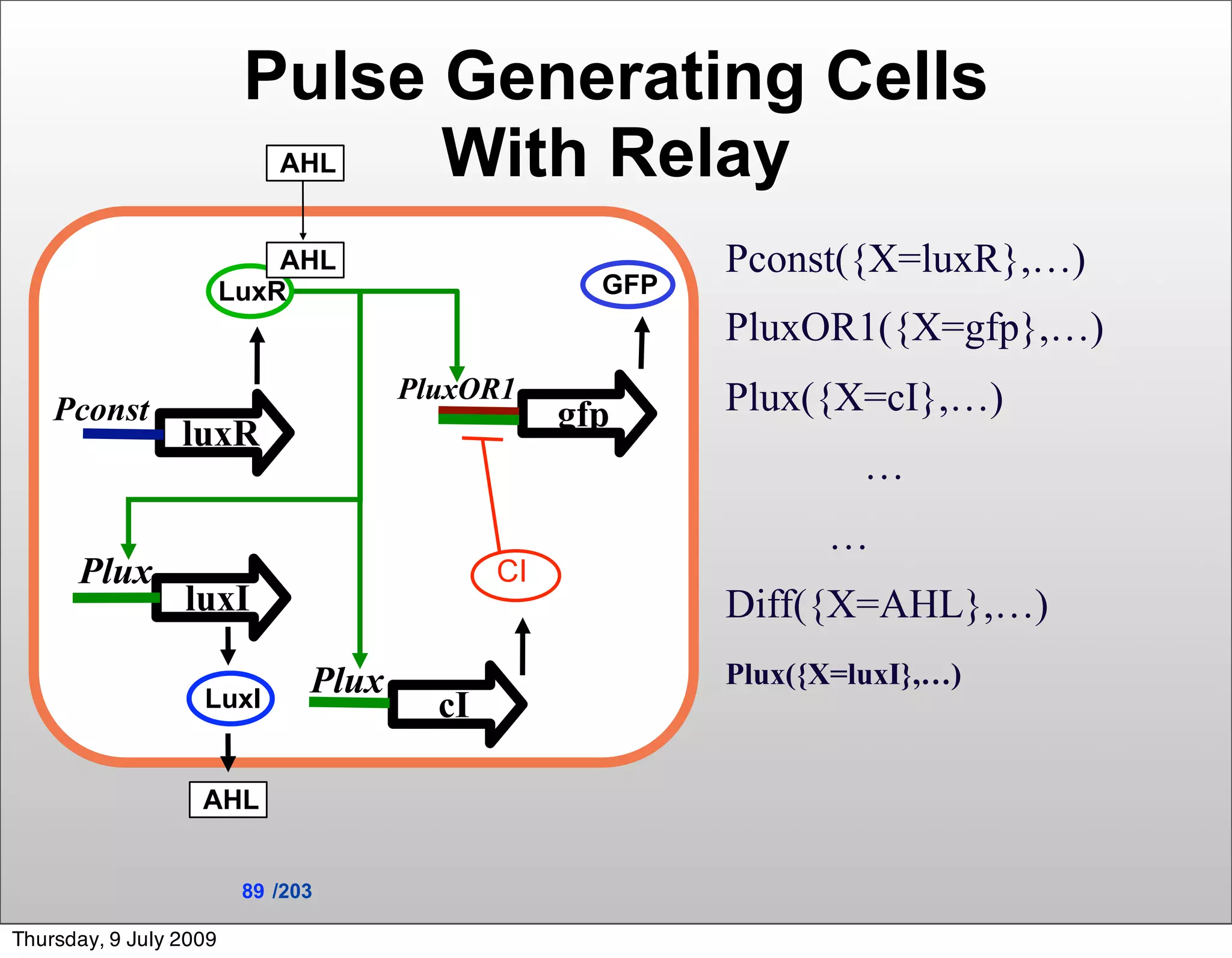 Pulse Generating Cells
                            AHLWith Relay
                            AHL                           Pconst({X=luxR},…)
                        LuxR                        GFP
                                                          PluxOR1({X=gfp},…)
                                      PluxOR1             Plux({X=cI},…)
    Pconst                                        gfp
                 luxR
                                                                   …
                                                                …
      Plux                                   CI
                 luxI                                     Diff({X=AHL},…)
                               Plux                       Plux({X=luxI},…)
                   LuxI                 cI

                   AHL


                         89 /203

Thursday, 9 July 2009
 