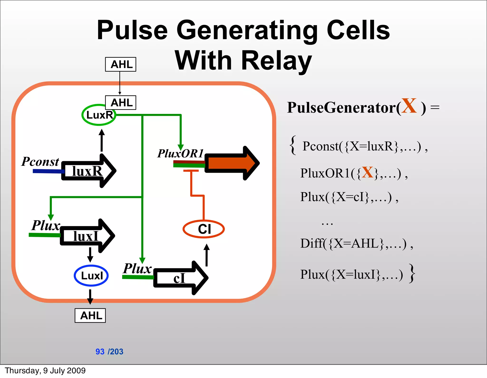 Pulse Generating Cells
                            AHLWith Relay
                        LuxR
                            AHL
                                                  PulseGenerator(X ) =

                                      PluxOR1
                                                  { Pconst({X=luxR},…) ,
    Pconst
                 luxR                               PluxOR1({X},…) ,
                                                    Plux({X=cI},…) ,

      Plux                                             …
                                             CI
                 luxI                               Diff({X=AHL},…) ,

                   LuxI
                               Plux
                                        cI          Plux({X=luxI},…)   }
                   AHL


                         93 /203

Thursday, 9 July 2009
 