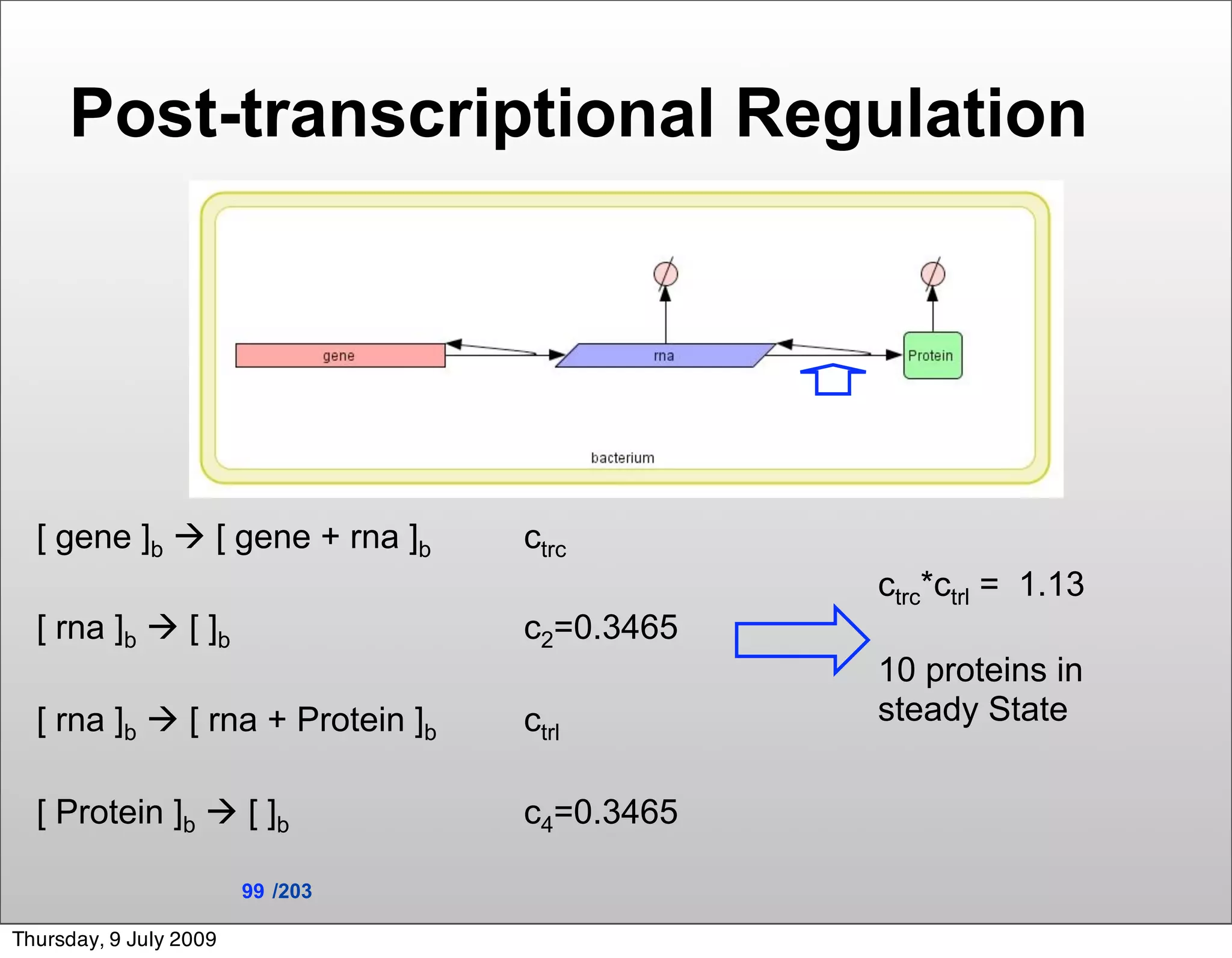 Post-transcriptional Regulation



                                              Post-transcriptional
                                                  regulation


  [ gene ]b  [ gene + rna ]b     ctrc
                                                           ctrc*ctrl = 1.13
  [ rna ]b  [ ]b                 c2=0.3465
                                                           10 proteins in
  [ rna ]b  [ rna + Protein ]b   ctrl                     steady State


  [ Protein ]b  [ ]b             c4=0.3465

                        99 /203

Thursday, 9 July 2009
 