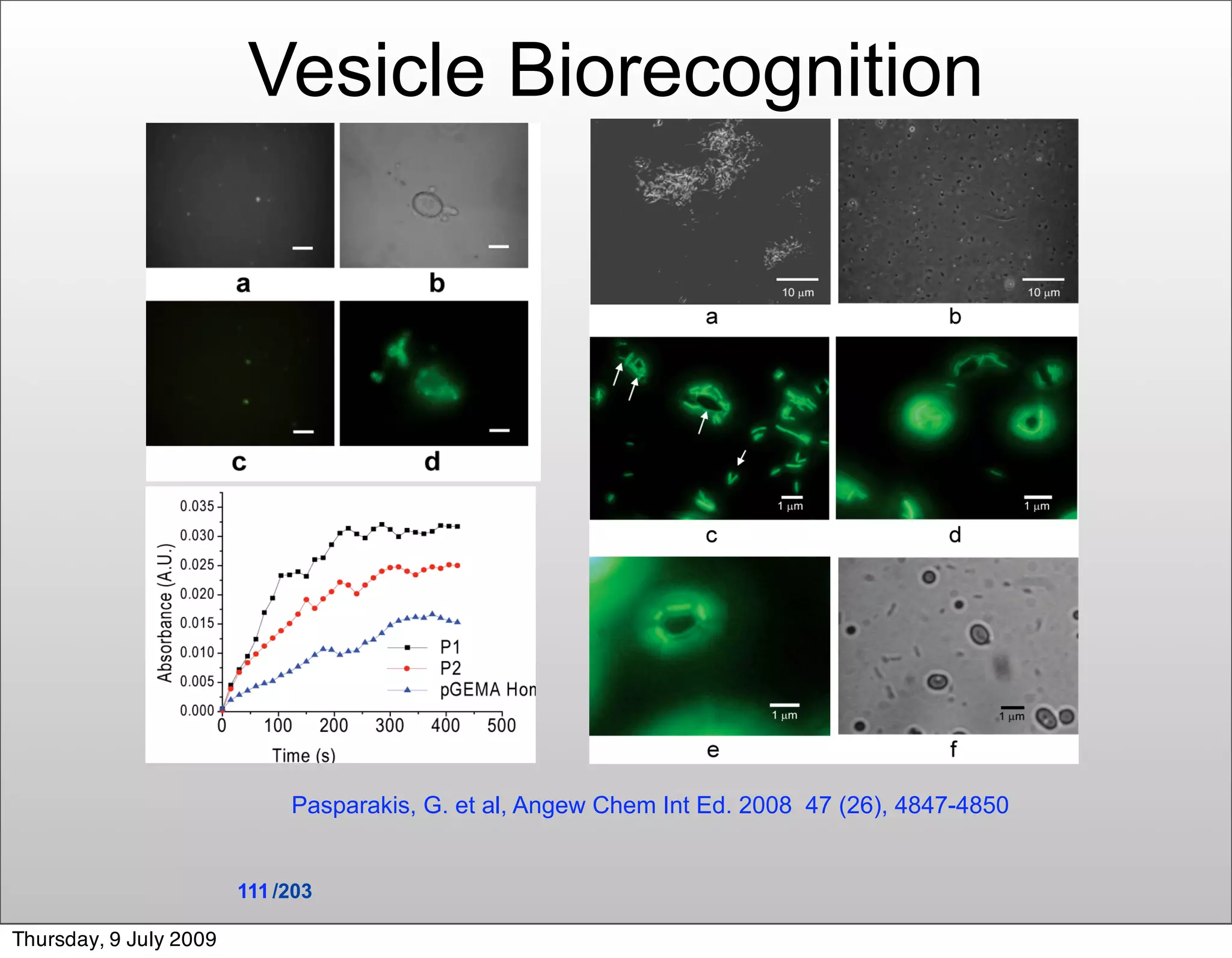 Vesicle Biorecognition




                             Pasparakis, G. et al, Angew Chem Int Ed. 2008 47 (26), 4847-4850


                        111 /203

Thursday, 9 July 2009
 