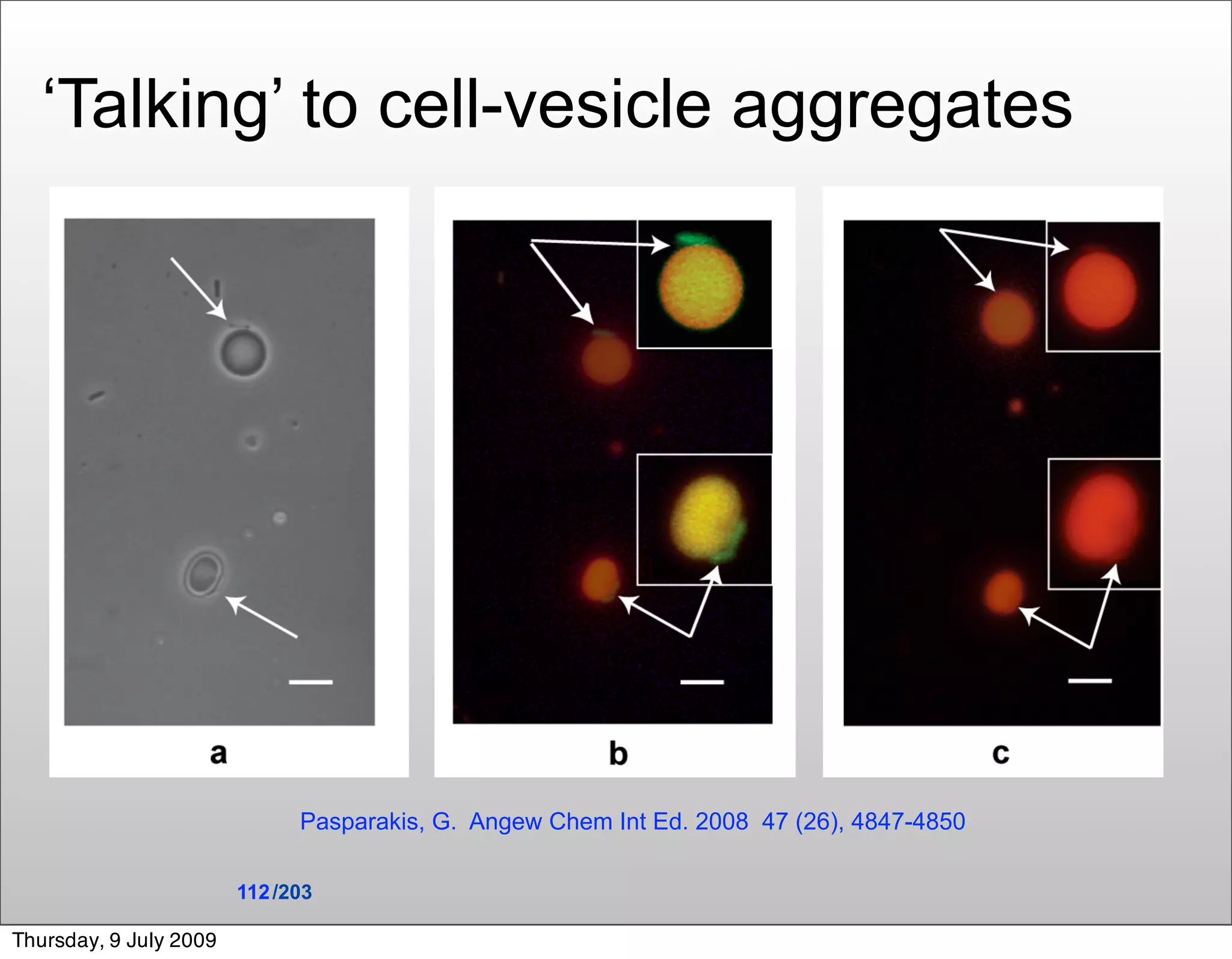 ‘Talking’ to cell-vesicle aggregates




                              Pasparakis, G. Angew Chem Int Ed. 2008 47 (26), 4847-4850

                        112 /203

Thursday, 9 July 2009
 