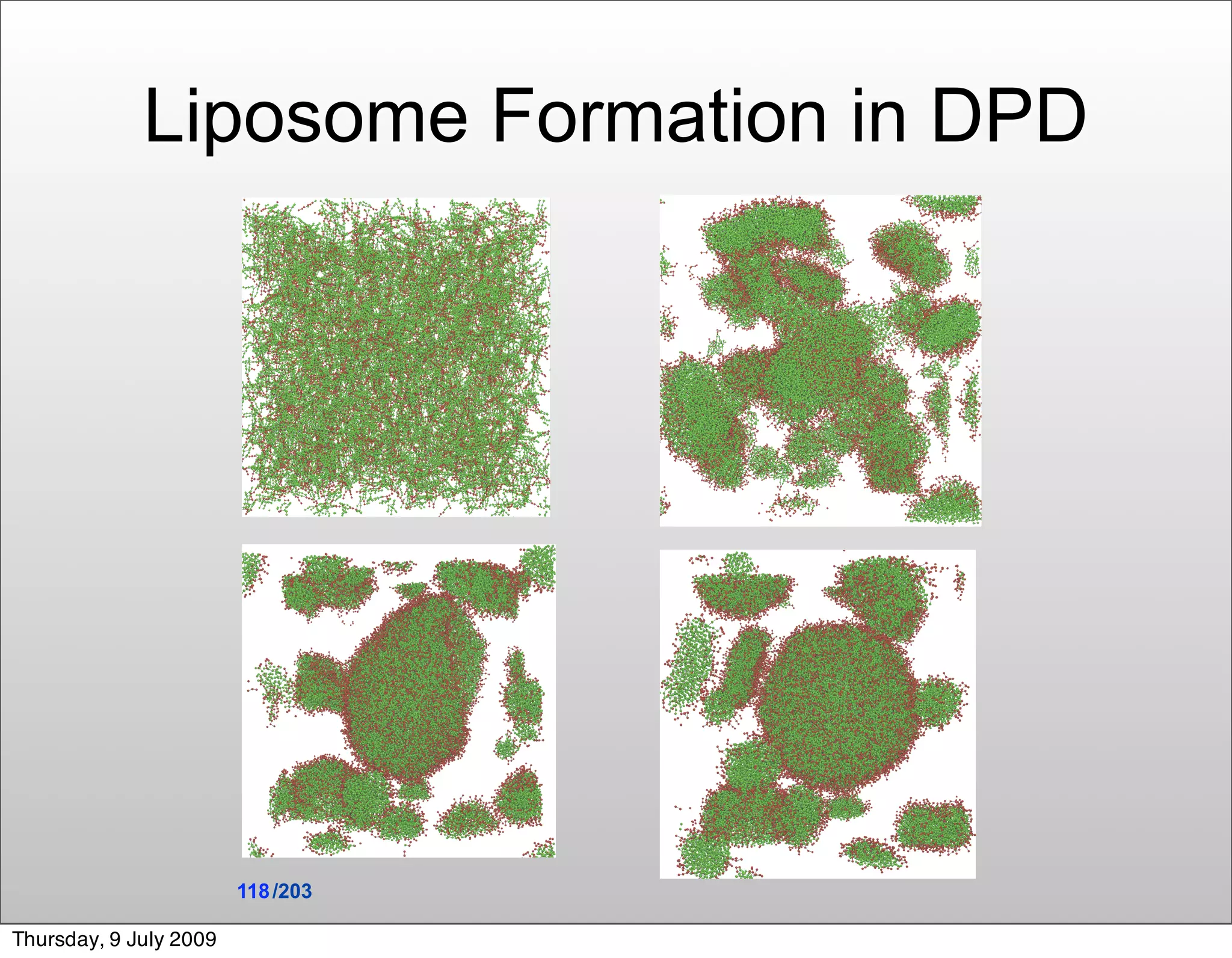 Liposome Formation in DPD




                        118 /203

Thursday, 9 July 2009
 