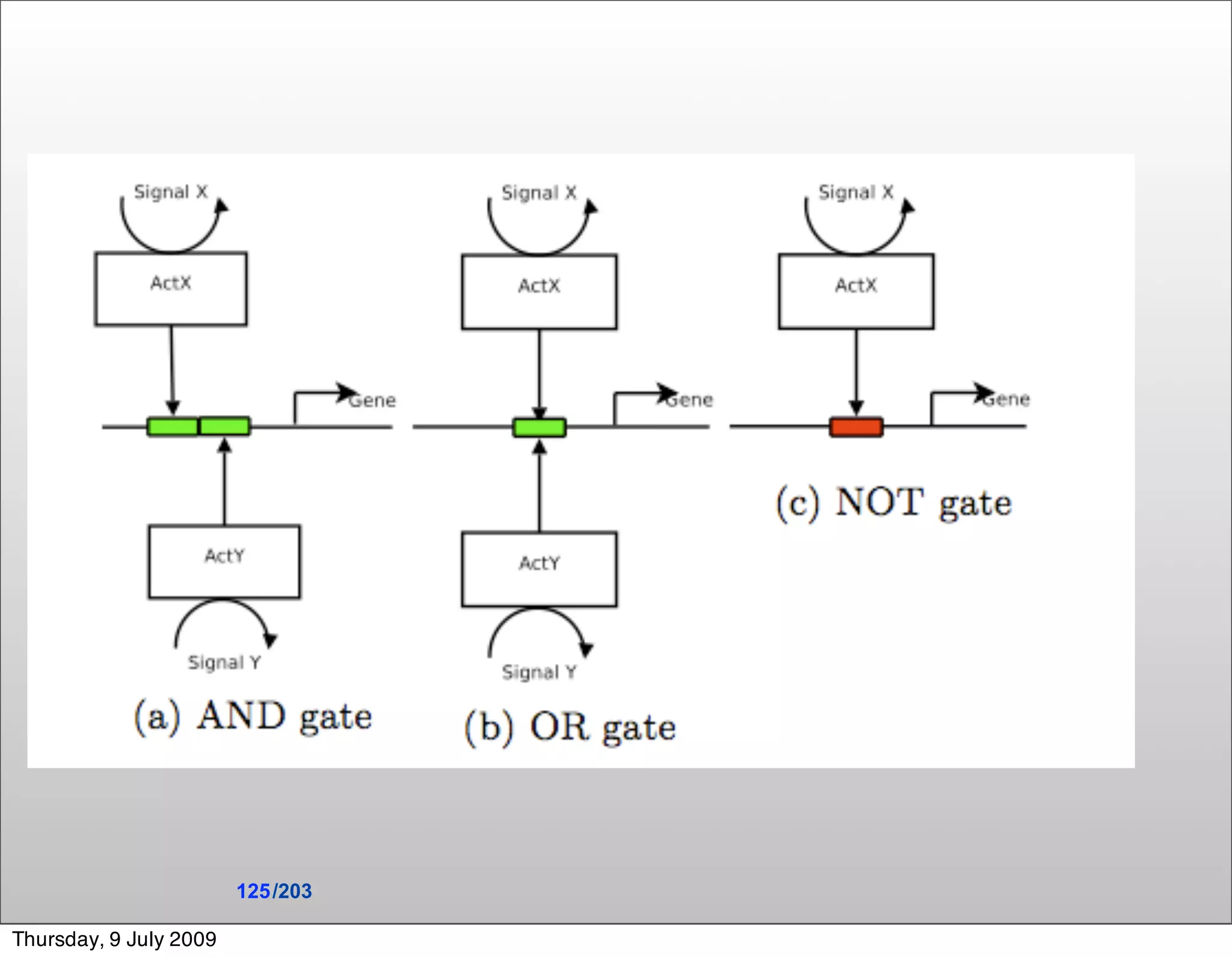125 /203

Thursday, 9 July 2009
 