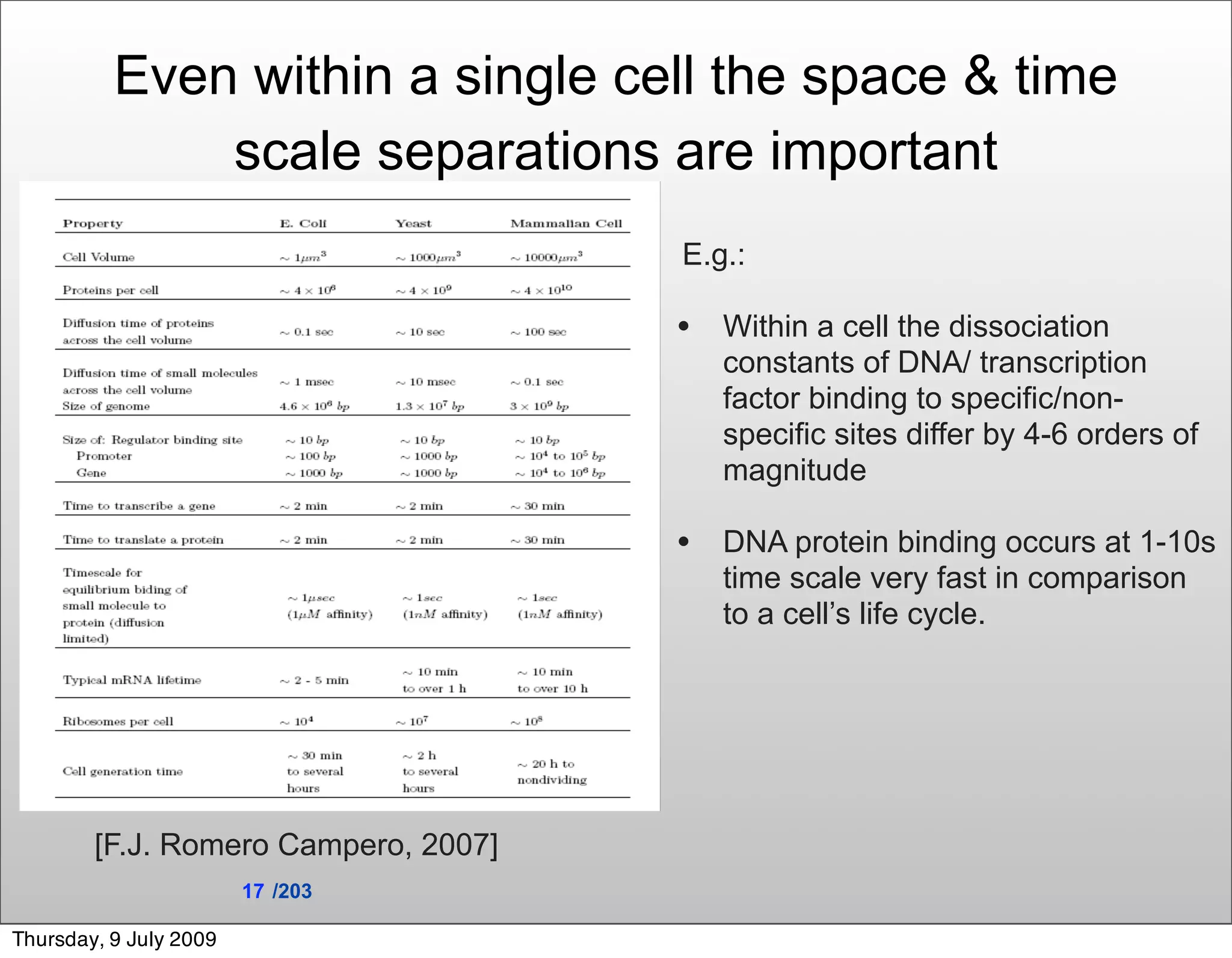 Even within a single cell the space & time
              scale separations are important
                                      E.g.:

                                      • Within a cell the dissociation
                                         constants of DNA/ transcription
                                         factor binding to specific/non-
                                         specific sites differ by 4-6 orders of
                                         magnitude

                                      • DNA protein binding occurs at 1-10s
                                         time scale very fast in comparison
                                         to a cell’s life cycle.




        [F.J. Romero Campero, 2007]
                        17 /203

Thursday, 9 July 2009
 