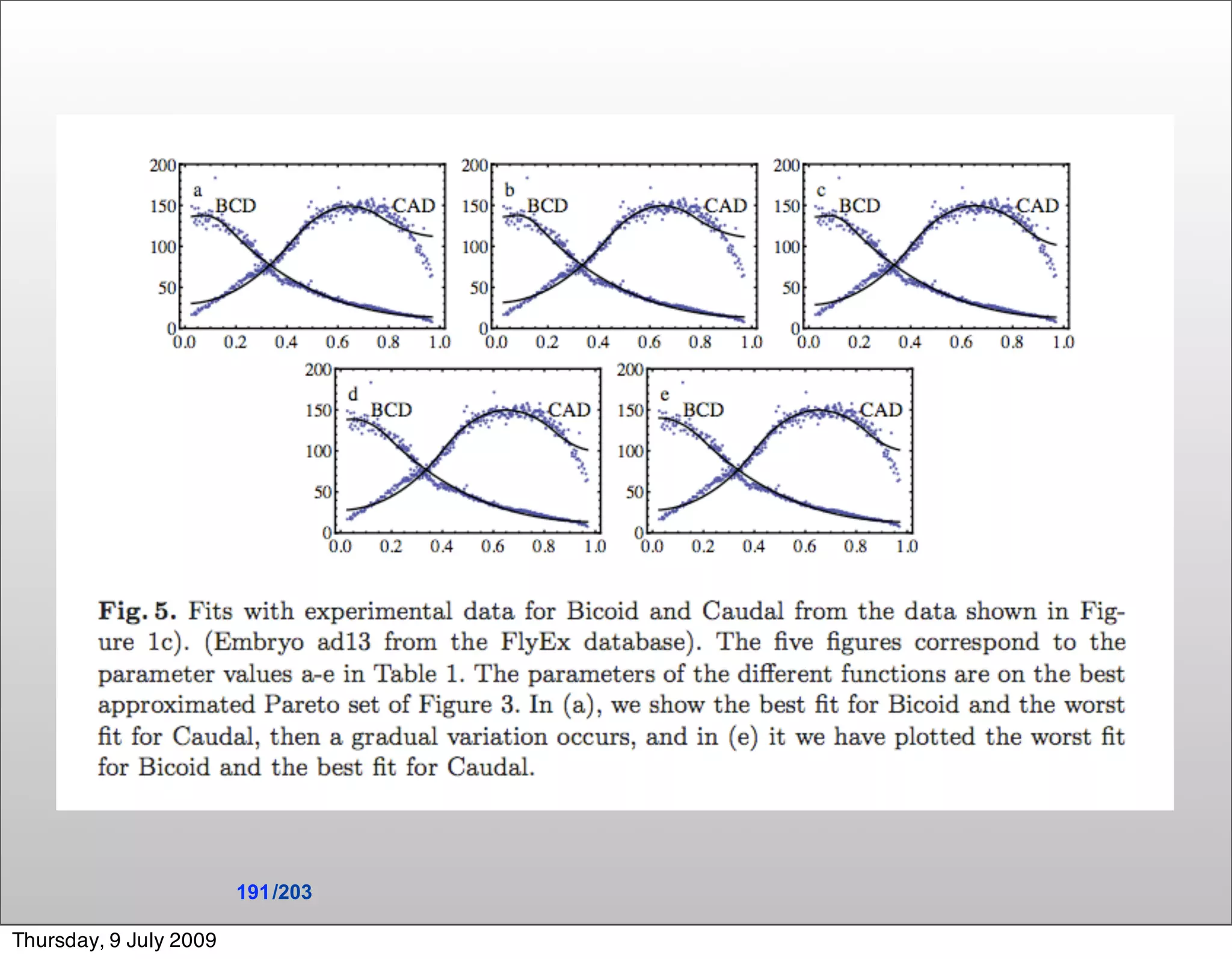 191 /203

Thursday, 9 July 2009
 