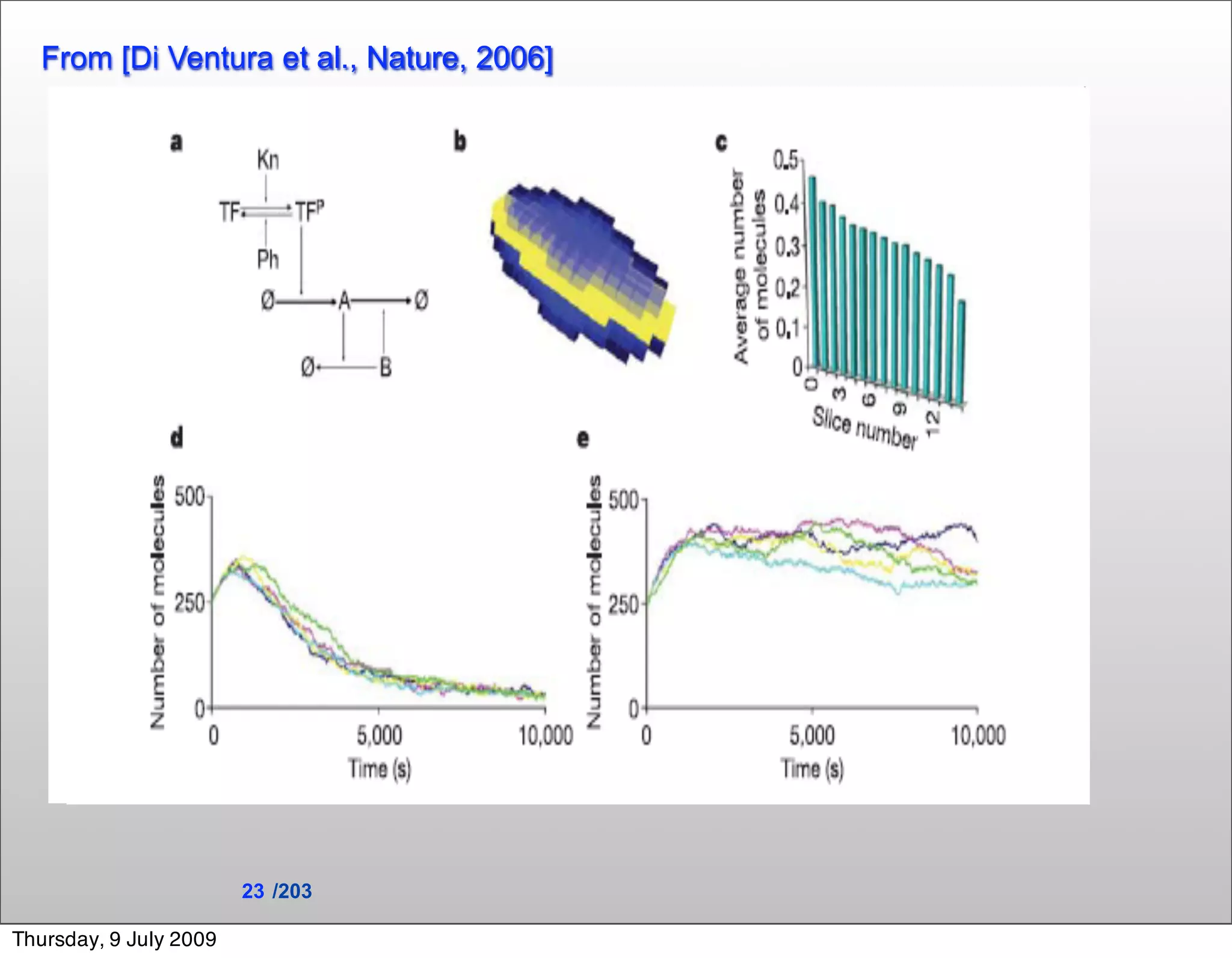 From [Di Ventura et al., Nature, 2006]
                             Low cost/                         High cost/
                             High error                        Low error


                        Unarticulated     Dimensional   Facetwise    Equations
                        wisdom            models        models       Of motion




    Formalism-independent errors
    Formalism-dependent errors




                         23 /203

Thursday, 9 July 2009
 