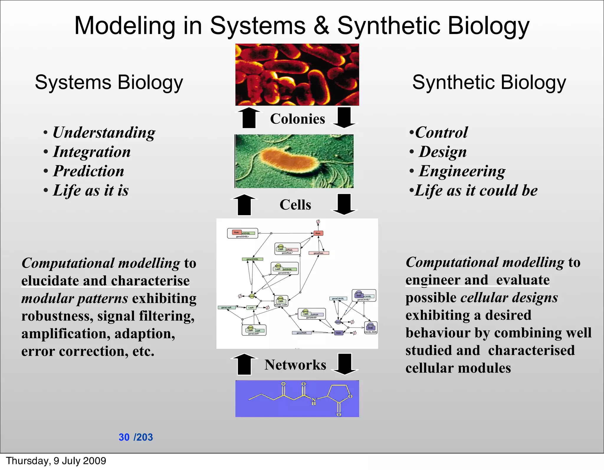 Modeling in Systems & Synthetic Biology

      Systems Biology                         Synthetic Biology
                                   Colonies
       • Understanding                        •Control
       • Integration                          • Design
       • Prediction                           • Engineering
       • Life as it is                        •Life as it could be
                                    Cells


   Computational modelling to                 Computational modelling to
   elucidate and characterise                 engineer and evaluate
   modular patterns exhibiting                possible cellular designs
   robustness, signal filtering,              exhibiting a desired
   amplification, adaption,                   behaviour by combining well
   error correction, etc.                     studied and characterised
                                   Networks   cellular modules



                        30 /203

Thursday, 9 July 2009
 