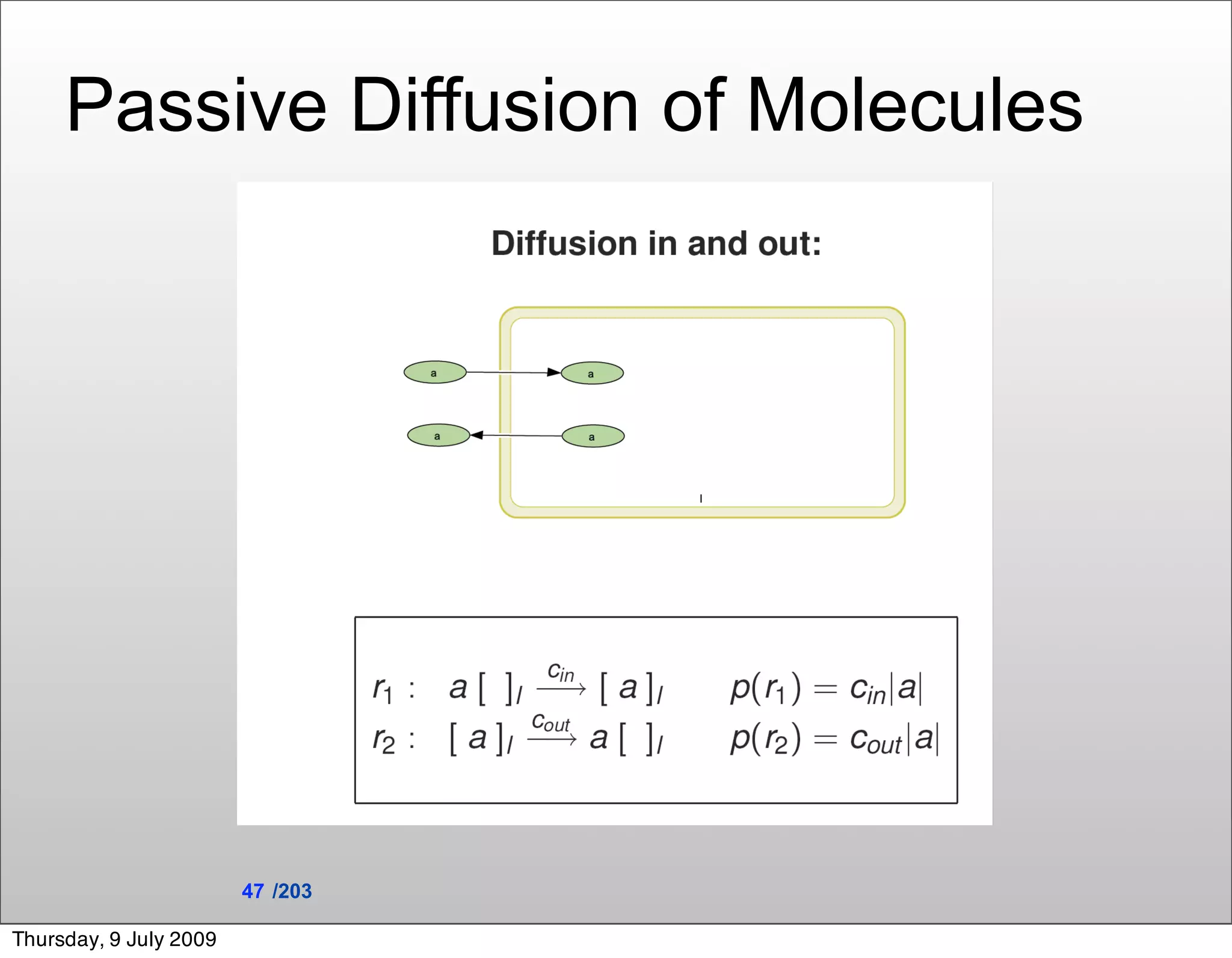 Passive Diffusion of Molecules




                        47 /203

Thursday, 9 July 2009
 