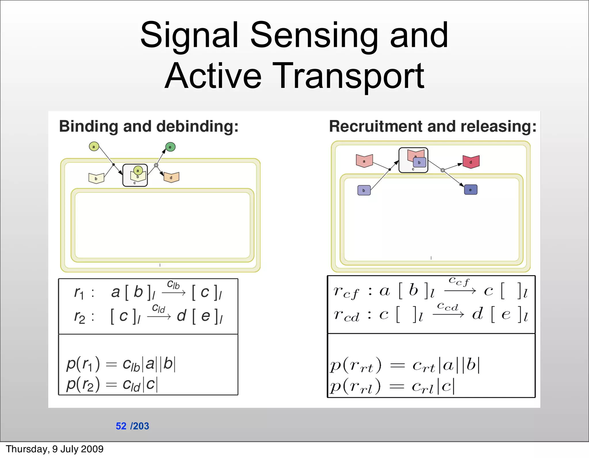 Signal Sensing and
                             Active Transport




                        52 /203

Thursday, 9 July 2009
 