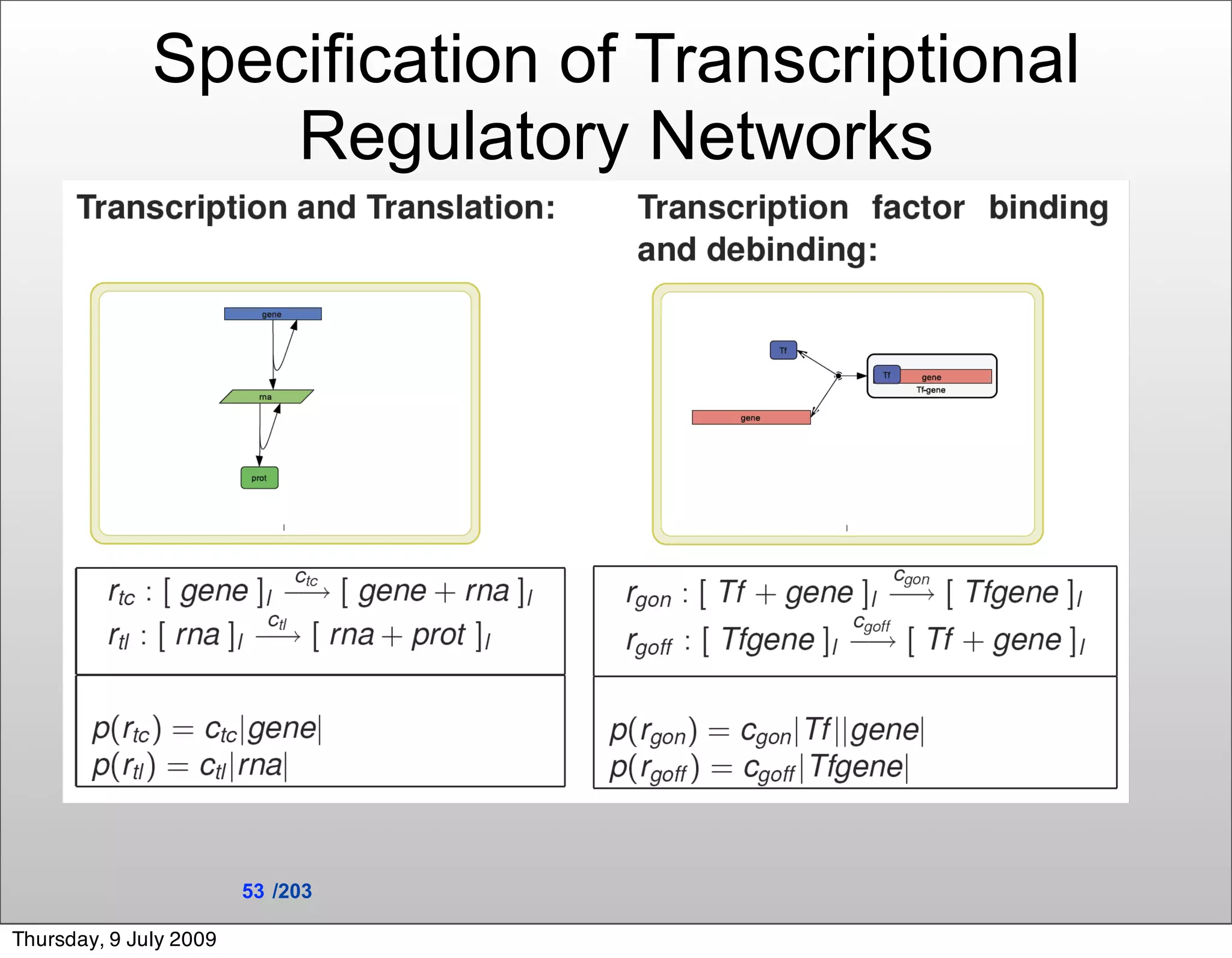 Specification of Transcriptional
                  Regulatory Networks




                        53 /203

Thursday, 9 July 2009
 