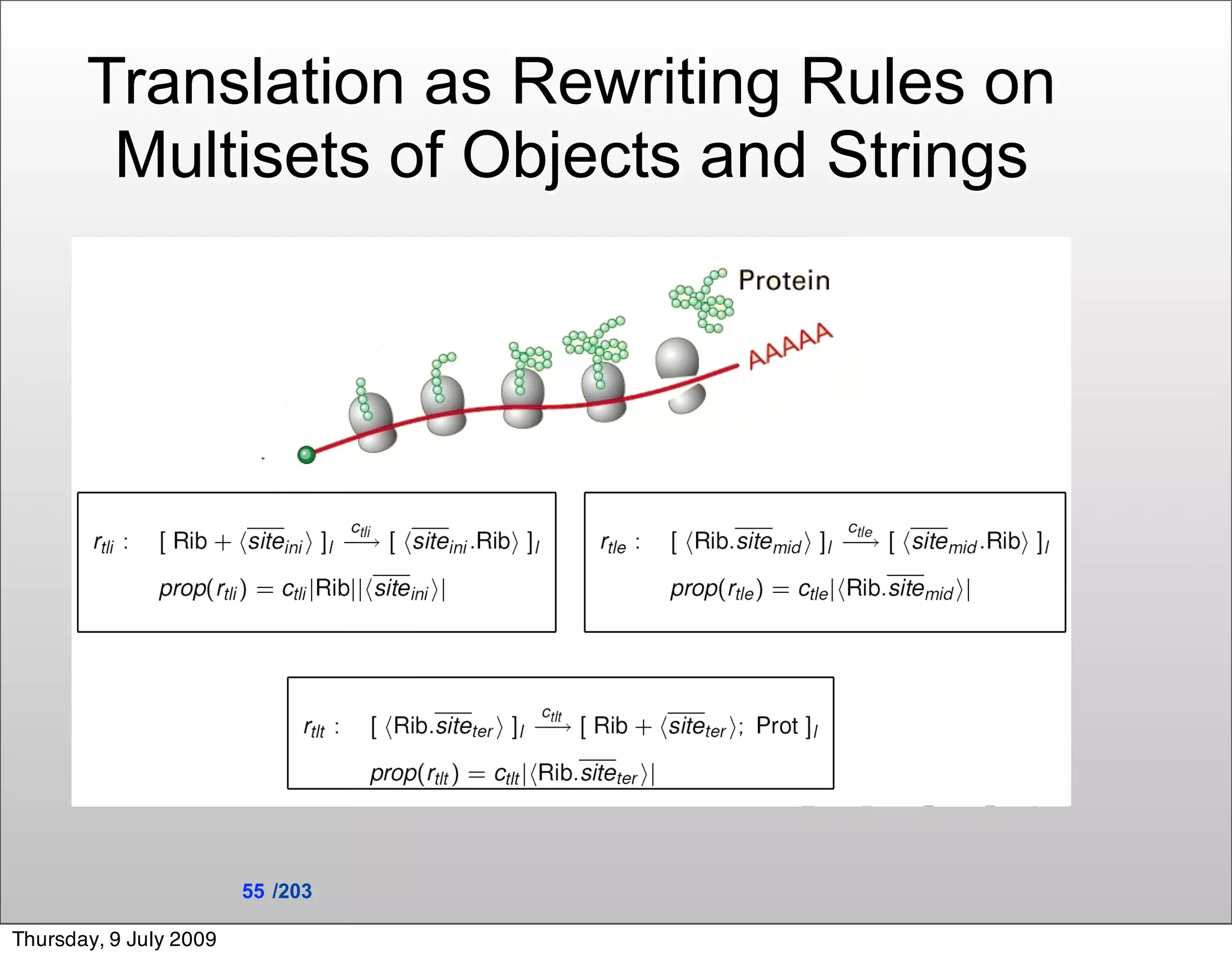 Translation as Rewriting Rules on
        Multisets of Objects and Strings




                        55 /203

Thursday, 9 July 2009
 