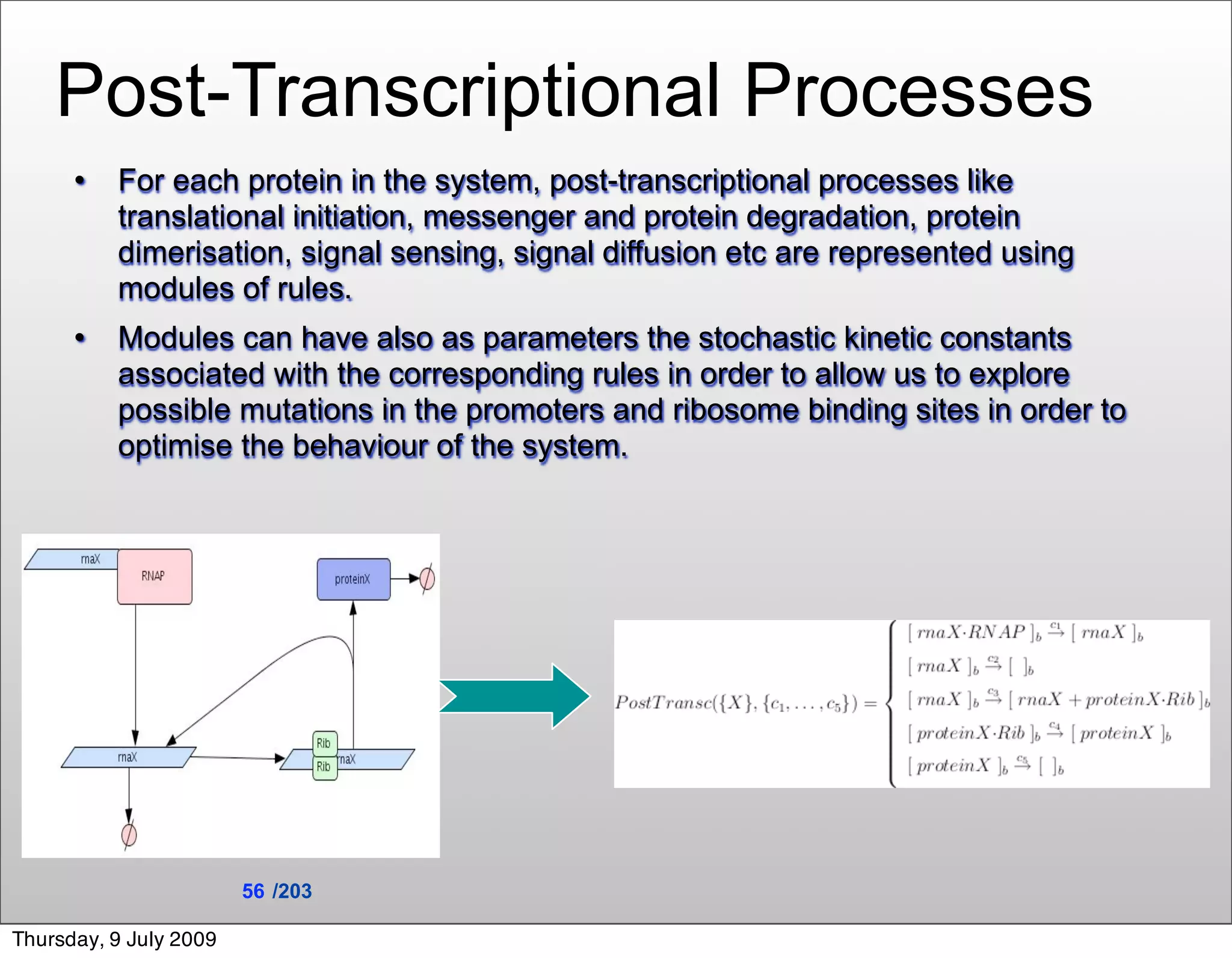 Post-Transcriptional Processes
         For each protein in the system, post-transcriptional processes like
          translational initiation, messenger and protein degradation, protein
          dimerisation, signal sensing, signal diffusion etc are represented using
          modules of rules.
         Modules can have also as parameters the stochastic kinetic constants
          associated with the corresponding rules in order to allow us to explore
          possible mutations in the promoters and ribosome binding sites in order to
          optimise the behaviour of the system.




                        56 /203

Thursday, 9 July 2009
 