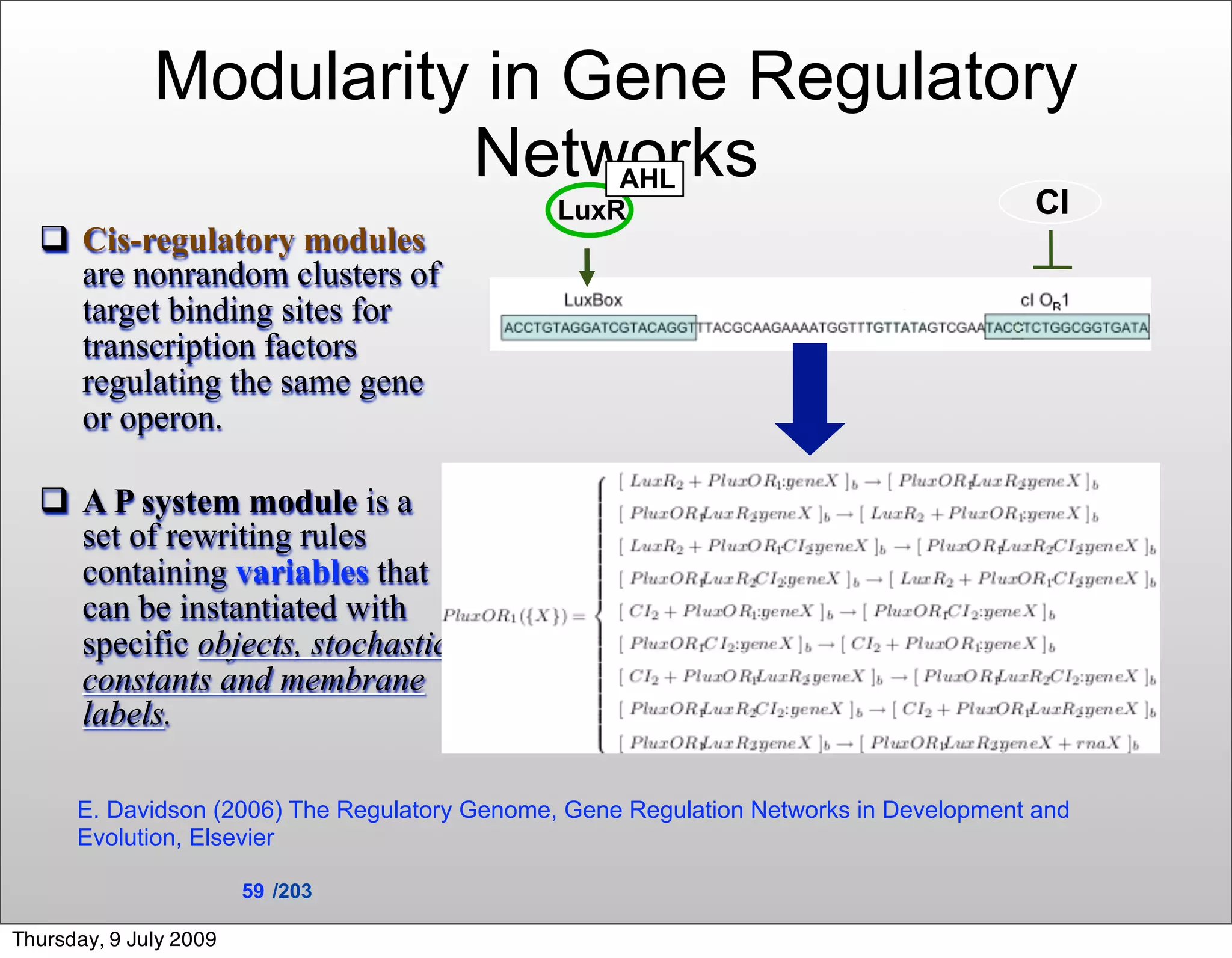 Modularity in Gene Regulatory
                        Networks                   AHL
                                               LuxR                                     CI
   Cis-regulatory modules
    are nonrandom clusters of
    target binding sites for
    transcription factors
    regulating the same gene
    or operon.

   A P system module is a
    set of rewriting rules
    containing variables that
    can be instantiated with
    specific objects, stochastic
    constants and membrane
    labels.

      E. Davidson (2006) The Regulatory Genome, Gene Regulation Networks in Development and
      Evolution, Elsevier

                        59 /203

Thursday, 9 July 2009
 