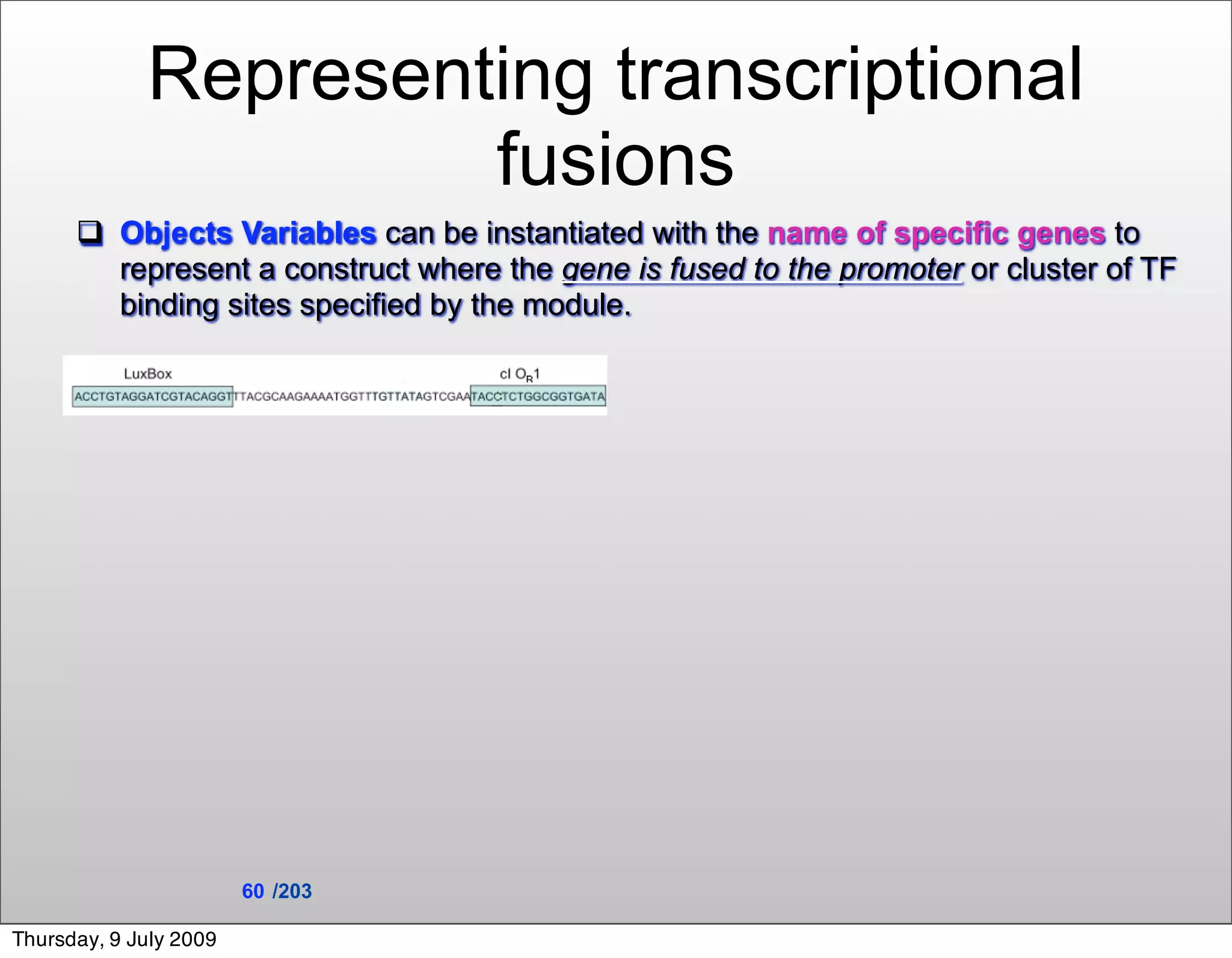 Representing transcriptional
                      fusions
       Objects Variables can be instantiated with the name of specific genes to
        represent a construct where the gene is fused to the promoter or cluster of TF
        binding sites specified by the module.




                        60 /203

Thursday, 9 July 2009
 