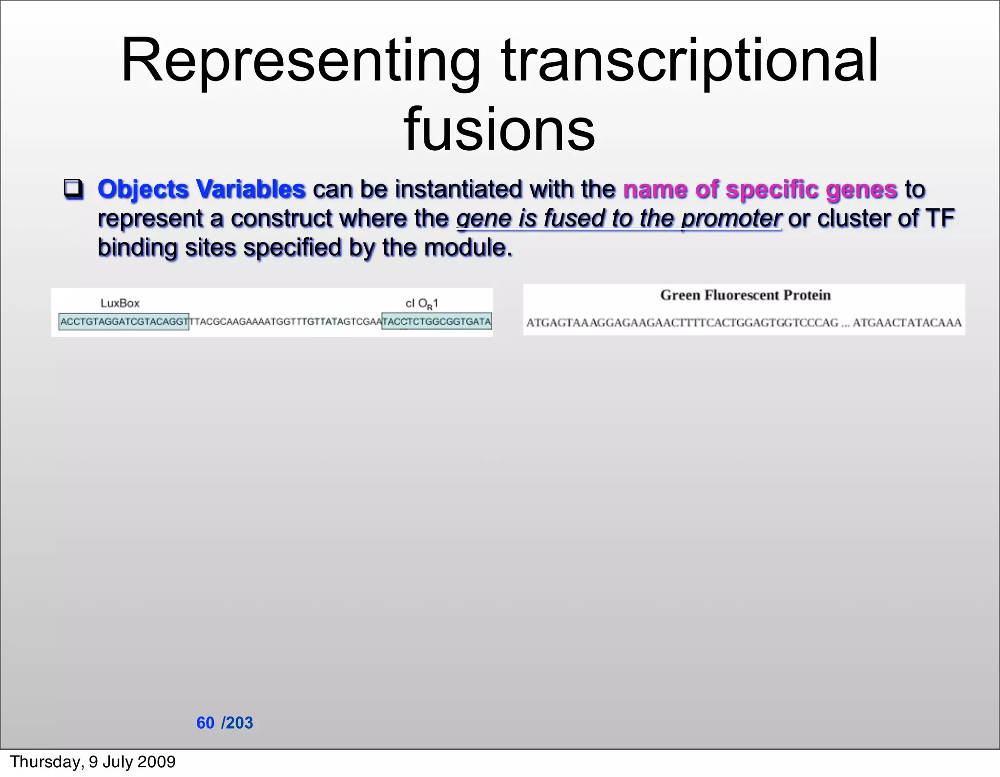 Representing transcriptional
                      fusions
       Objects Variables can be instantiated with the name of specific genes to
        represent a construct where the gene is fused to the promoter or cluster of TF
        binding sites specified by the module.




                        60 /203

Thursday, 9 July 2009
 