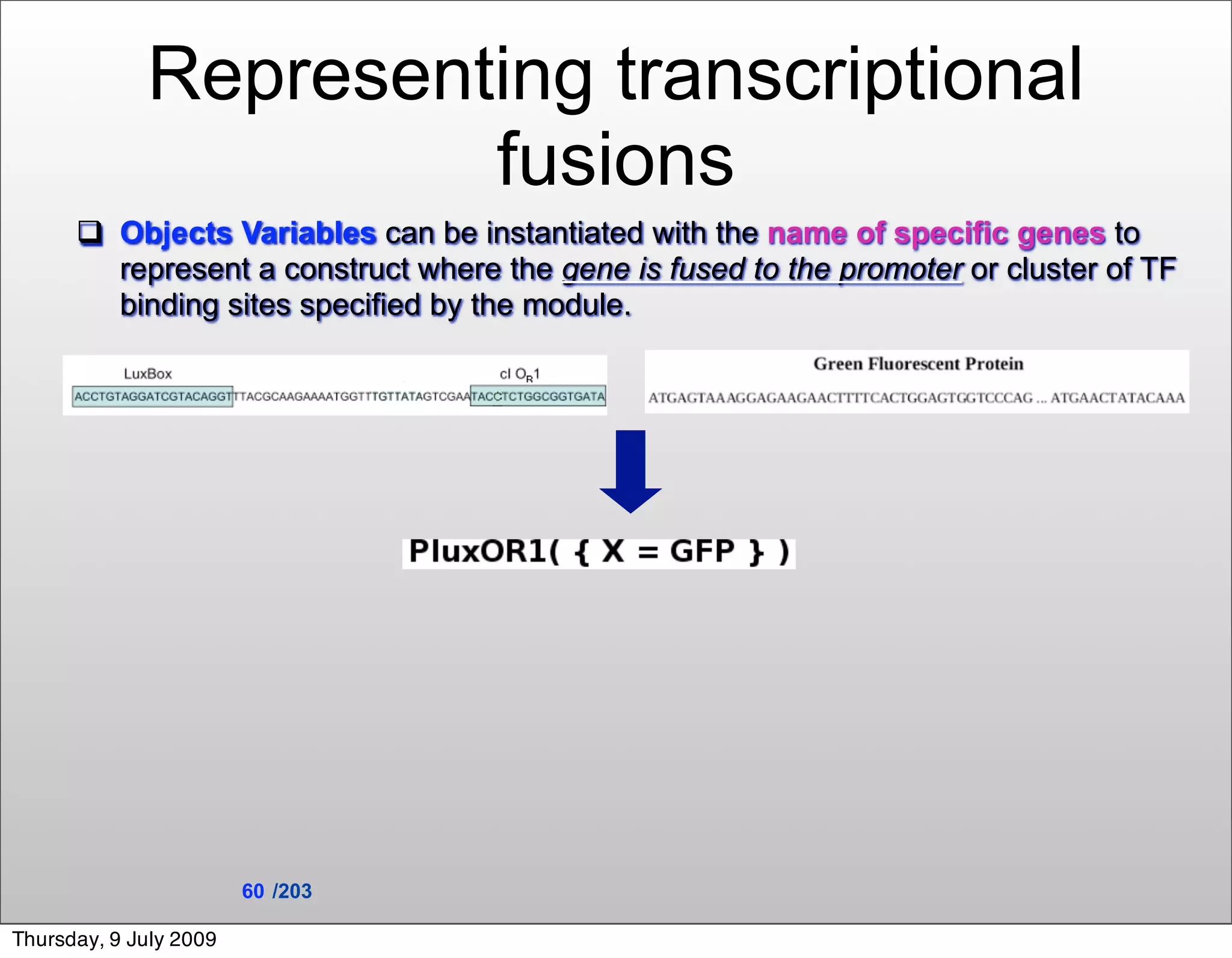Representing transcriptional
                      fusions
       Objects Variables can be instantiated with the name of specific genes to
        represent a construct where the gene is fused to the promoter or cluster of TF
        binding sites specified by the module.




                        60 /203

Thursday, 9 July 2009
 