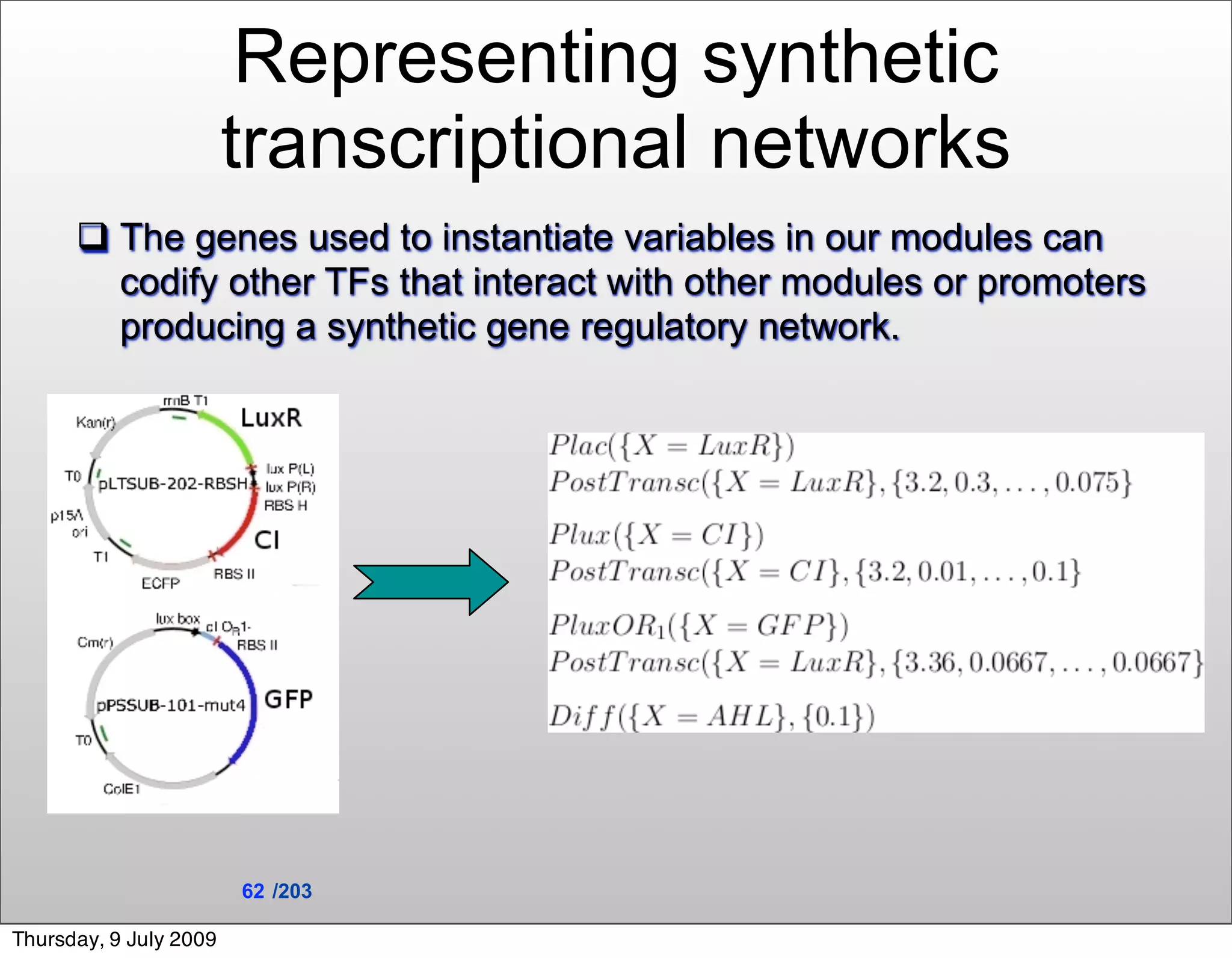 Representing synthetic
                        transcriptional networks
       The genes used to instantiate variables in our modules can
        codify other TFs that interact with other modules or promoters
        producing a synthetic gene regulatory network.




                        62 /203

Thursday, 9 July 2009
 