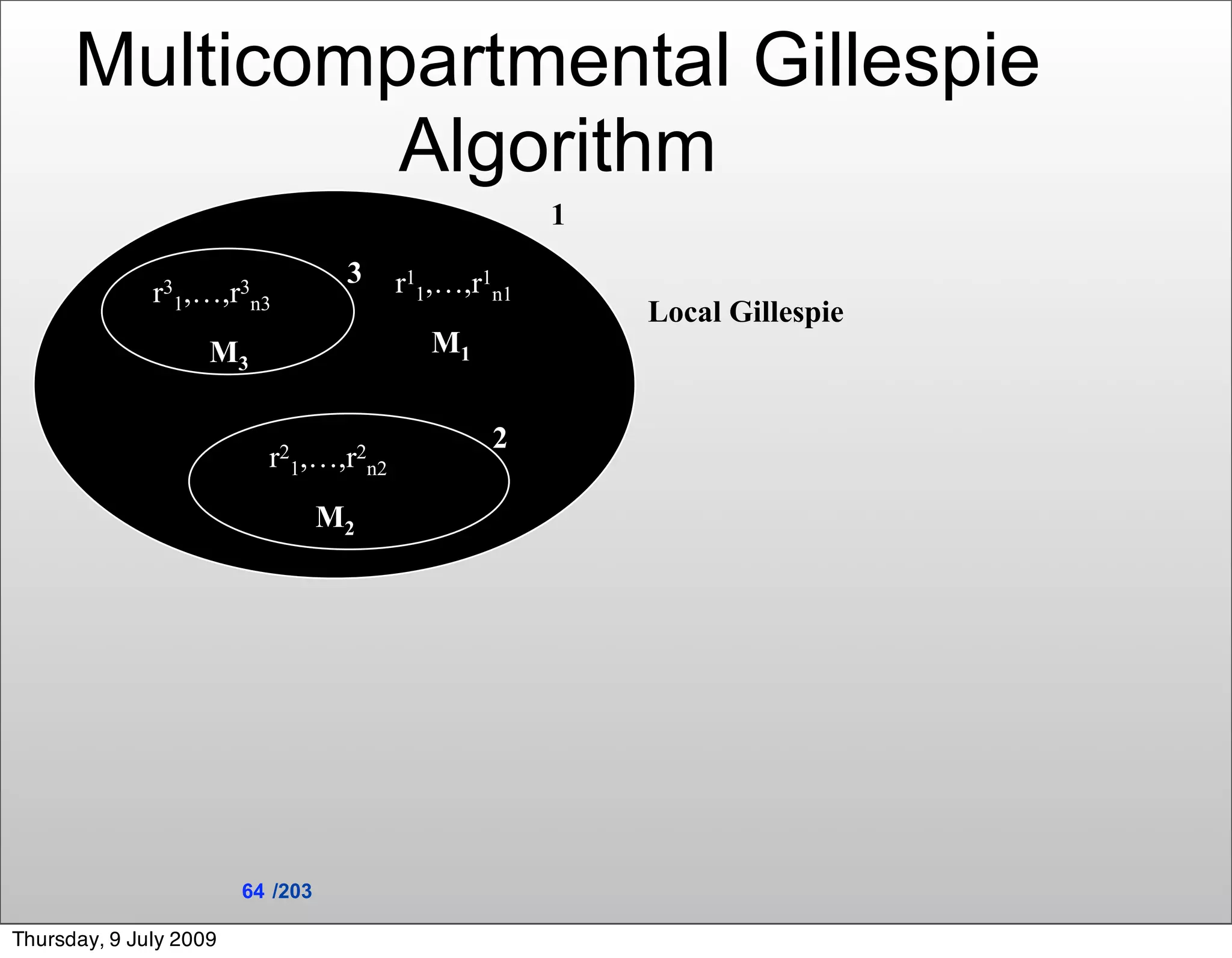 Multicompartmental Gillespie
               Algorithm
                                                    1
                                   3   r11,…,r1n1
              r31,…,r3n3
                                                        Local Gillespie
                    M3                    M1


                                               2
                          r21,…,r2n2
                                  M2




                        64 /203

Thursday, 9 July 2009
 