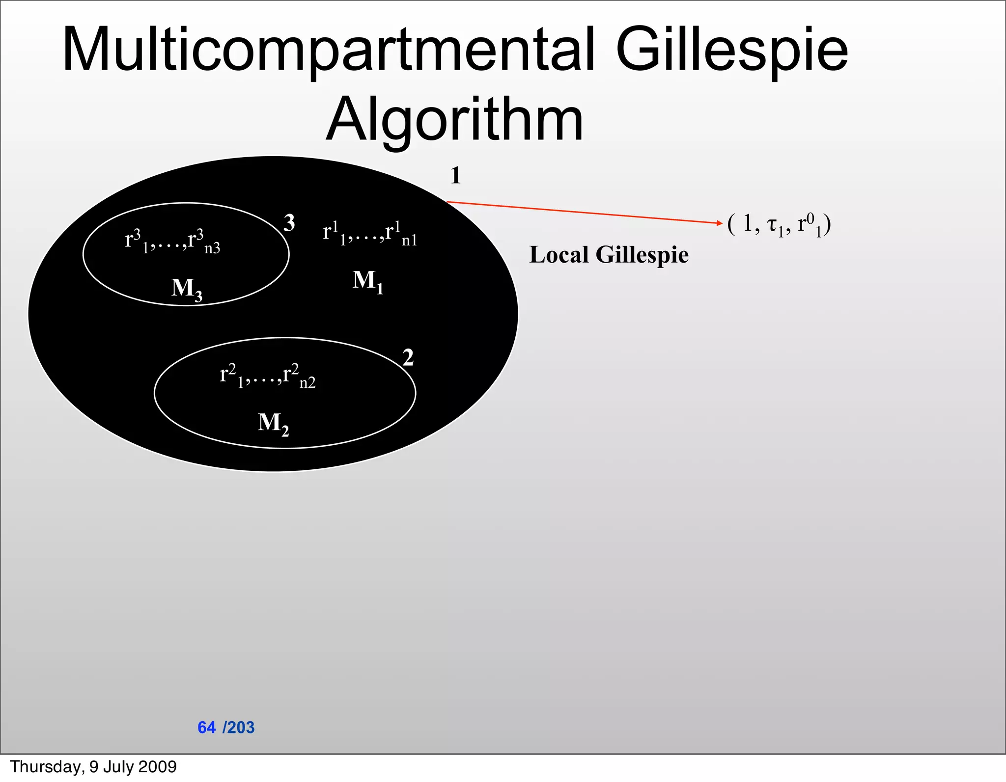 Multicompartmental Gillespie
               Algorithm
                                                    1
                                   3   r11,…,r1n1                         ( 1, τ1, r01)
              r31,…,r n3
                     3
                                                        Local Gillespie
                    M3                    M1


                                               2
                          r21,…,r2n2
                                  M2




                        64 /203

Thursday, 9 July 2009
 