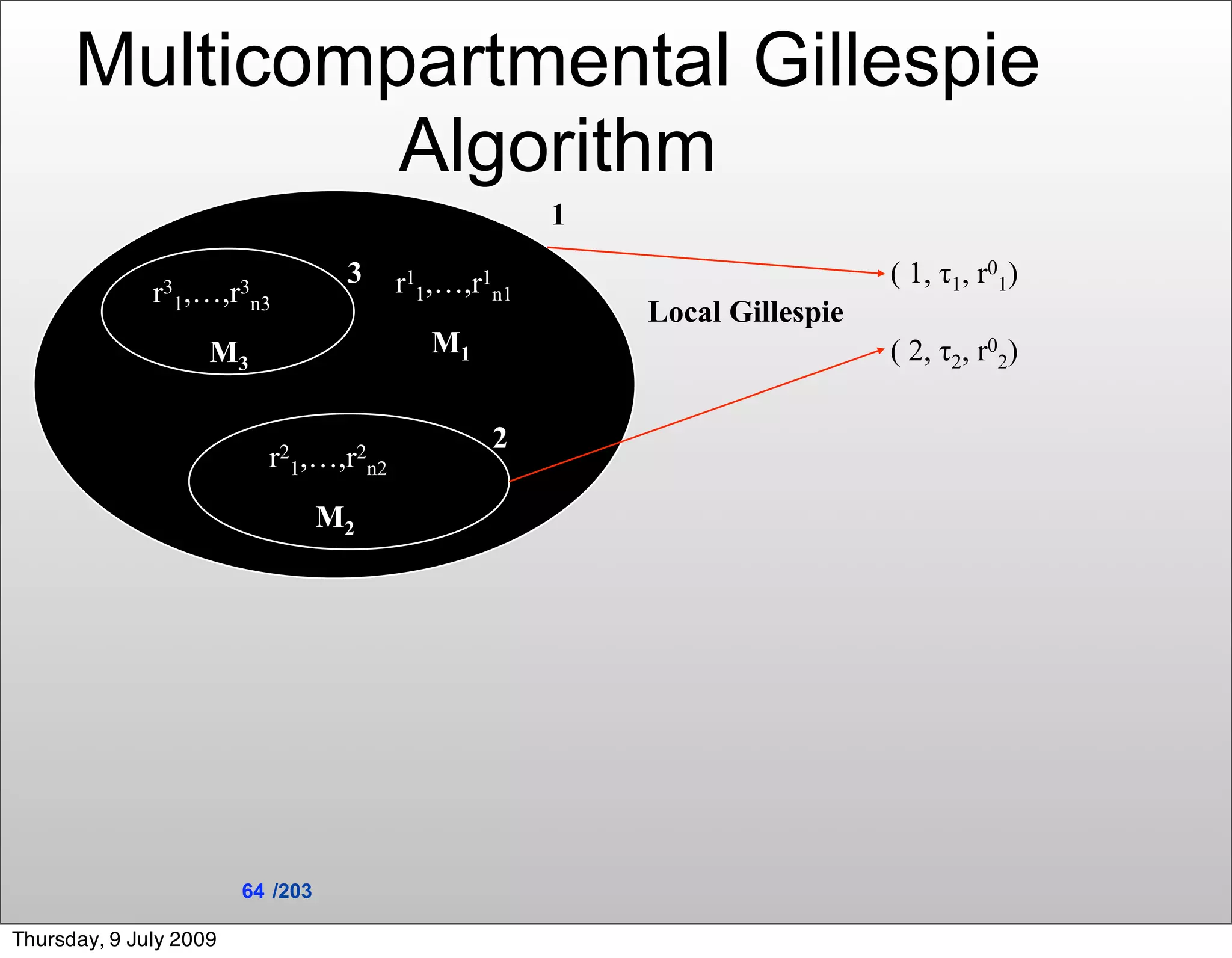 Multicompartmental Gillespie
               Algorithm
                                                    1
                                   3   r11,…,r1n1                         ( 1, τ1, r01)
              r31,…,r n3
                     3
                                                        Local Gillespie
                    M3                    M1                              ( 2, τ2, r02)

                                               2
                          r21,…,r2n2
                                  M2




                        64 /203

Thursday, 9 July 2009
 