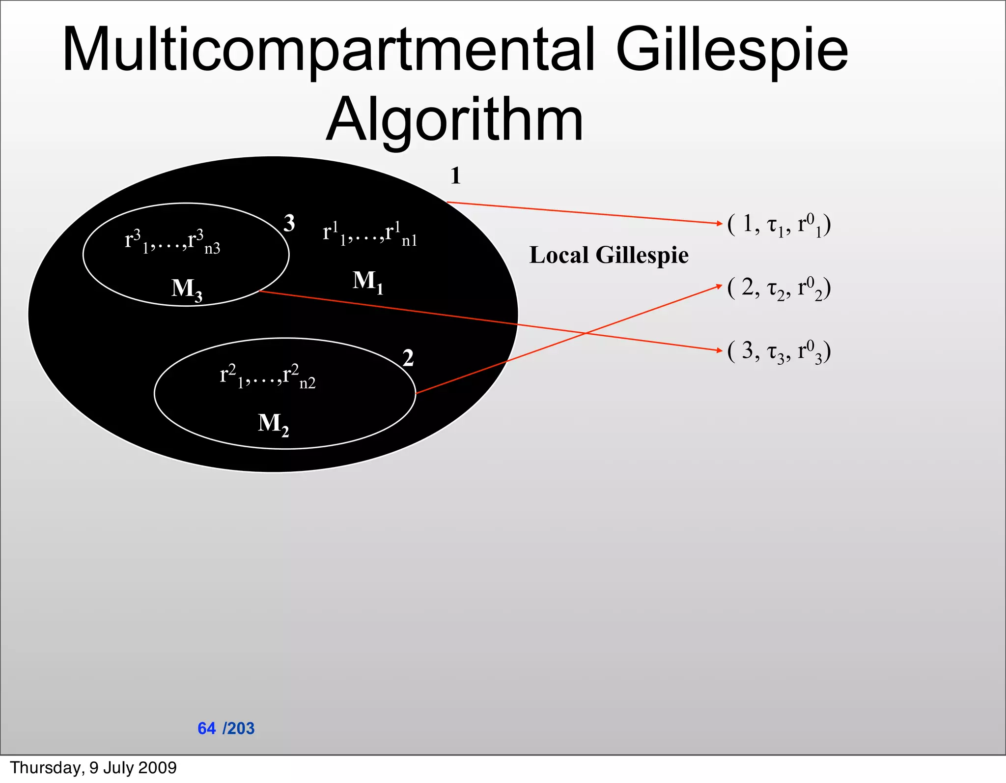 Multicompartmental Gillespie
               Algorithm
                                                    1
                                   3   r11,…,r1n1                         ( 1, τ1, r01)
              r31,…,r n3
                     3
                                                        Local Gillespie
                    M3                    M1                              ( 2, τ2, r02)

                                               2                          ( 3, τ3, r03)
                          r21,…,r2n2
                                  M2




                        64 /203

Thursday, 9 July 2009
 