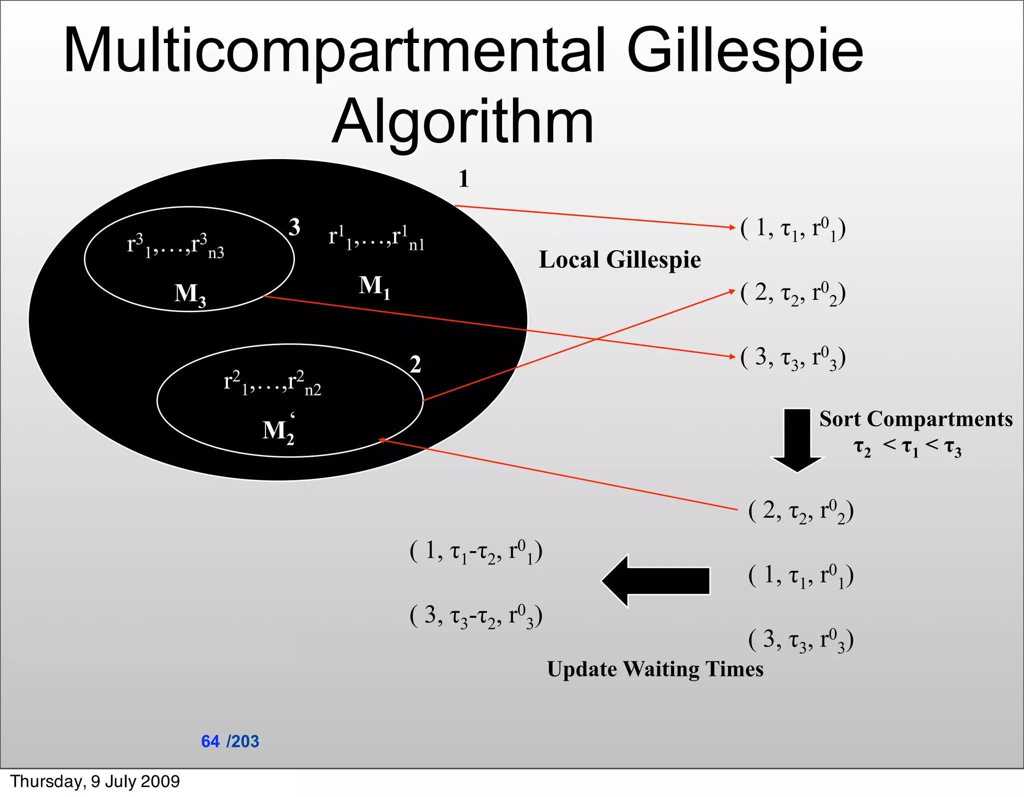 Multicompartmental Gillespie
               Algorithm
                                                    1
                                   3   r11,…,r1n1                                  ( 1, τ1, r01)
              r31,…,r n3
                     3
                                                              Local Gillespie
                    M3                    M1                                       ( 2, τ2, r02)

                                               2                                   ( 3, τ3, r03)
                          r21,…,r2n2
                                   ‘                                                        Sort Compartments
                                  M2
                                                                                               τ2 < τ1 < τ3

                                                                                    ( 2, τ2, r02)
                                               ( 1, τ1-τ2, r01)
                                                                                    ( 1, τ1, r01)
                                               ( 3, τ3-τ2, r03)
                                                                                    ( 3, τ3, r03)
                                                                  Update Waiting Times


                        64 /203

Thursday, 9 July 2009
 