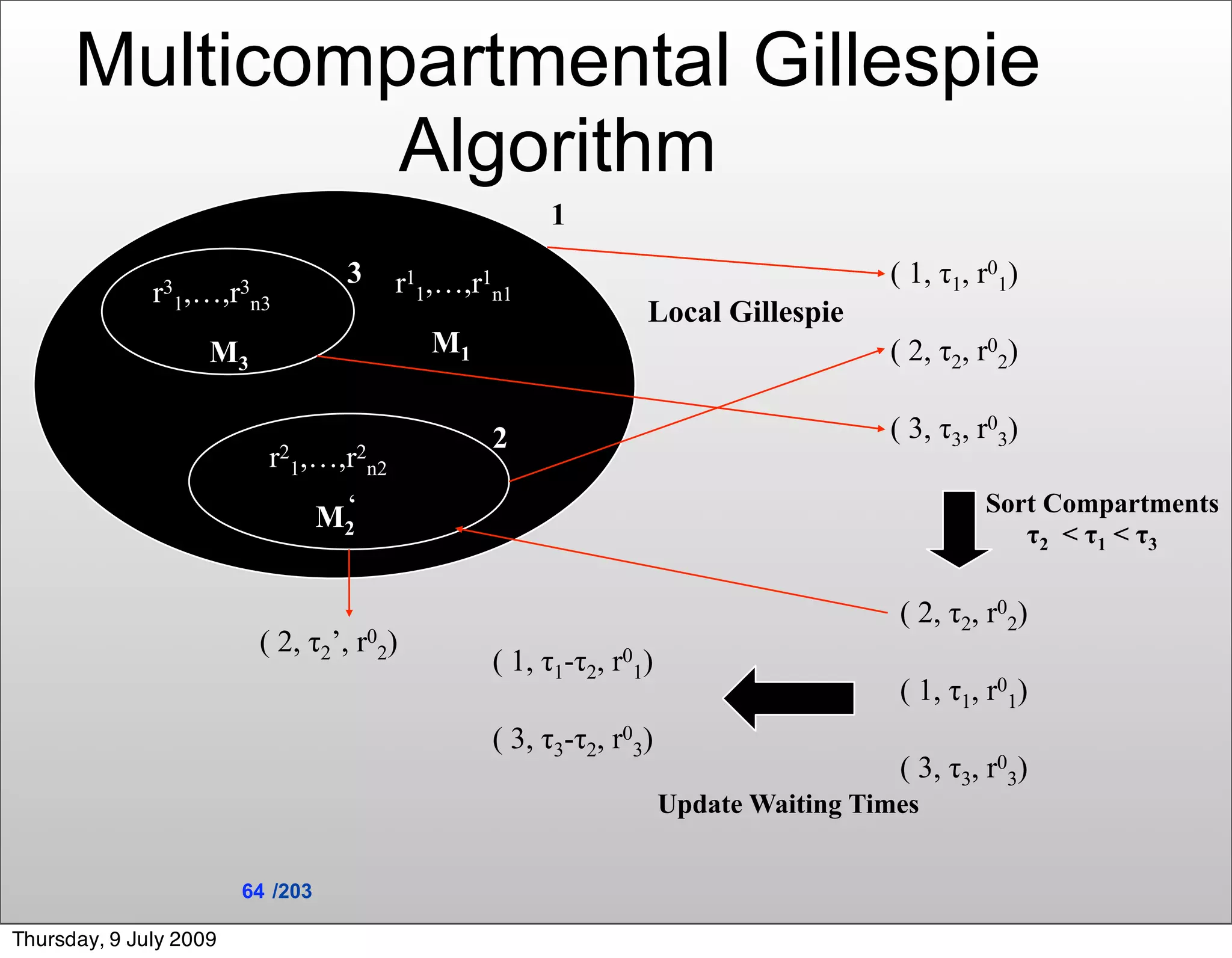 Multicompartmental Gillespie
               Algorithm
                                                    1
                                   3   r11,…,r1n1                                  ( 1, τ1, r01)
              r31,…,r n3
                     3
                                                              Local Gillespie
                    M3                    M1                                       ( 2, τ2, r02)

                                               2                                   ( 3, τ3, r03)
                          r21,…,r2n2
                                   ‘                                                        Sort Compartments
                                  M2
                                                                                               τ2 < τ1 < τ3

                                                                                    ( 2, τ2, r02)
                         ( 2, τ2’, r02)
                                               ( 1, τ1-τ2, r01)
                                                                                    ( 1, τ1, r01)
                                               ( 3, τ3-τ2, r03)
                                                                                    ( 3, τ3, r03)
                                                                  Update Waiting Times


                        64 /203

Thursday, 9 July 2009
 